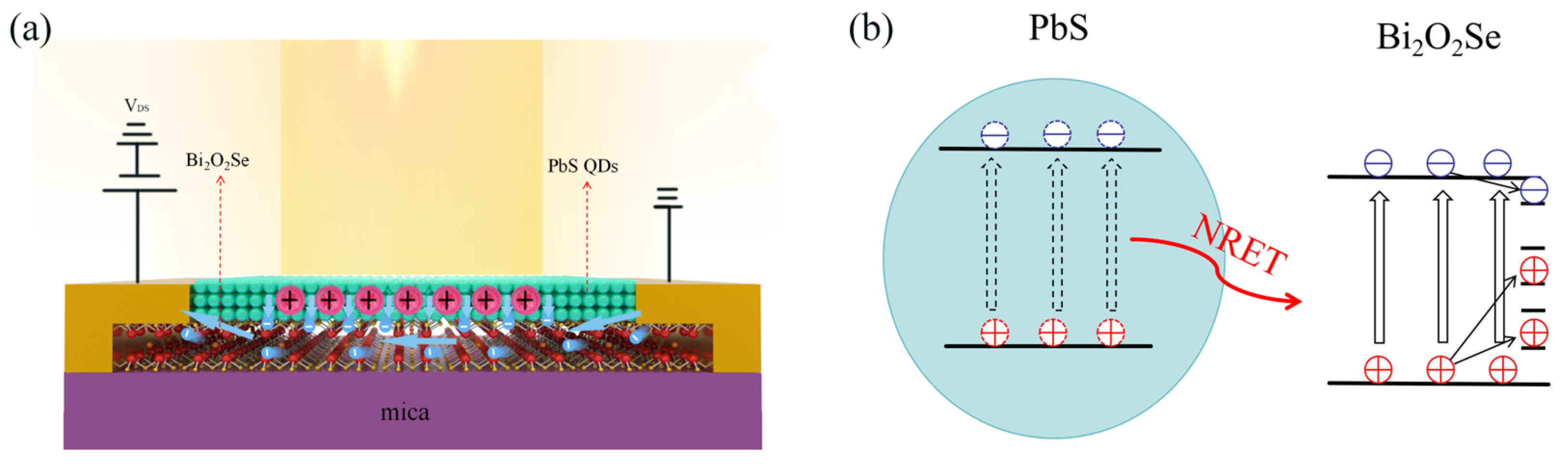 Applsci 14 05914 g005