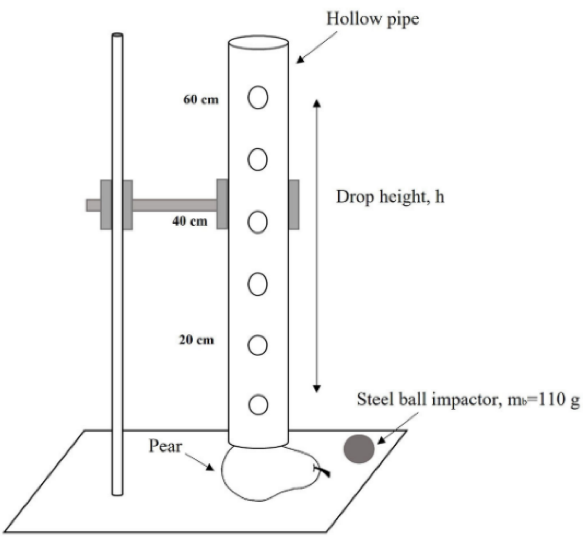 Applsci 14 05936 g002
