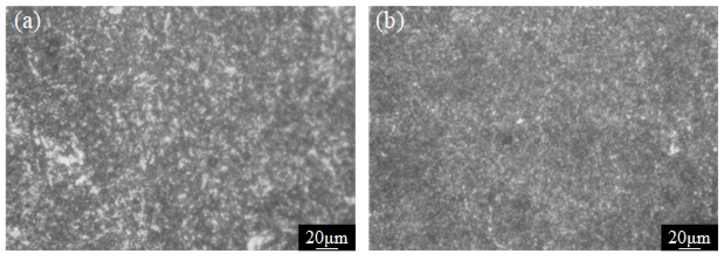 Applsci 14 05942 g002 Applsci 14 05942 g002