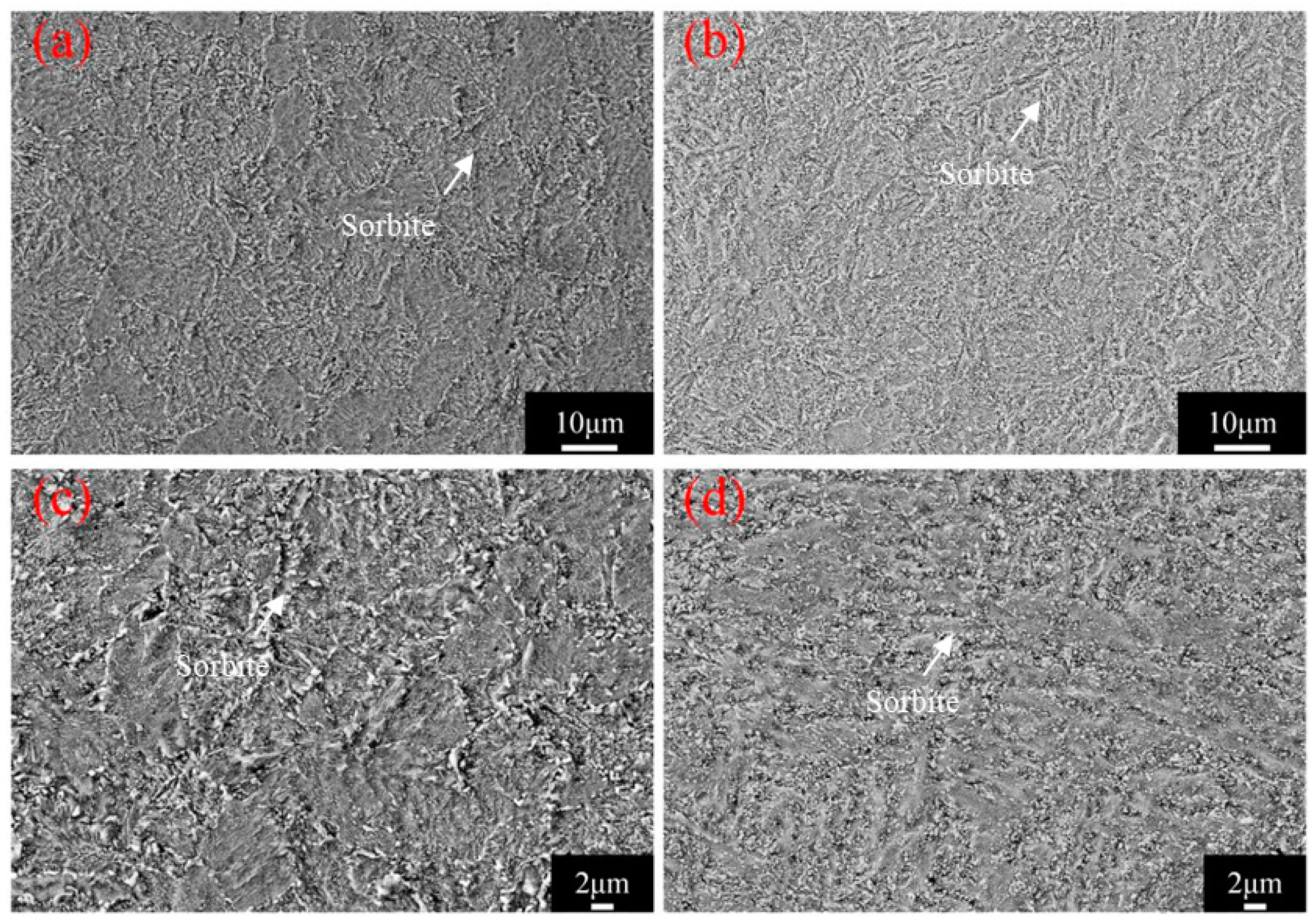 Applsci 14 05942 g003 Applsci 14 05942 g003