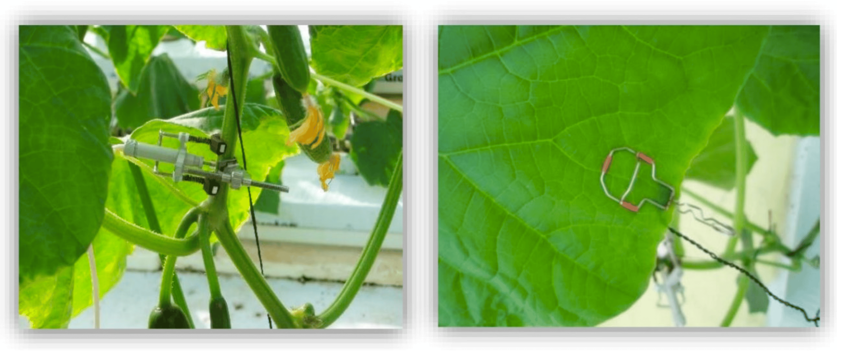 Applsci 14 06158 g013