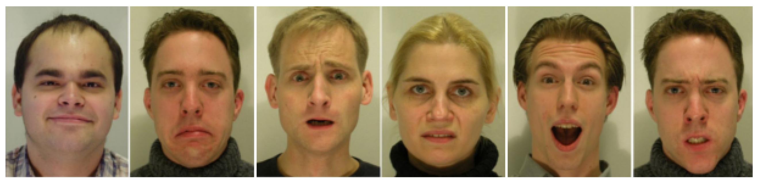 Real-Time Analysis of Facial Expressions for Mood Estimation | MDPI