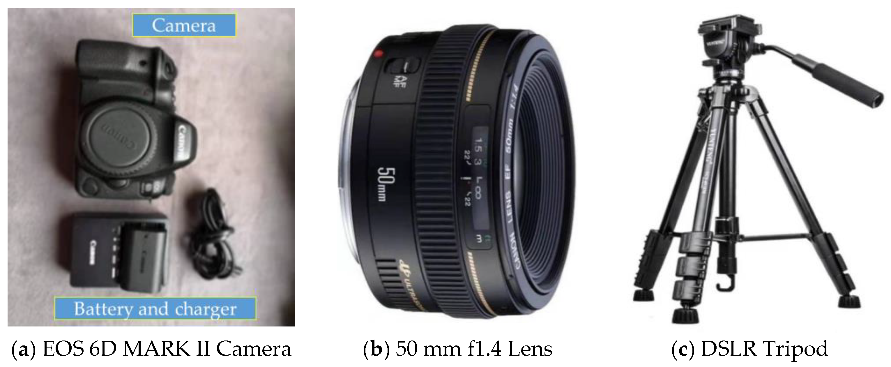 Applsci 14 06403 g001