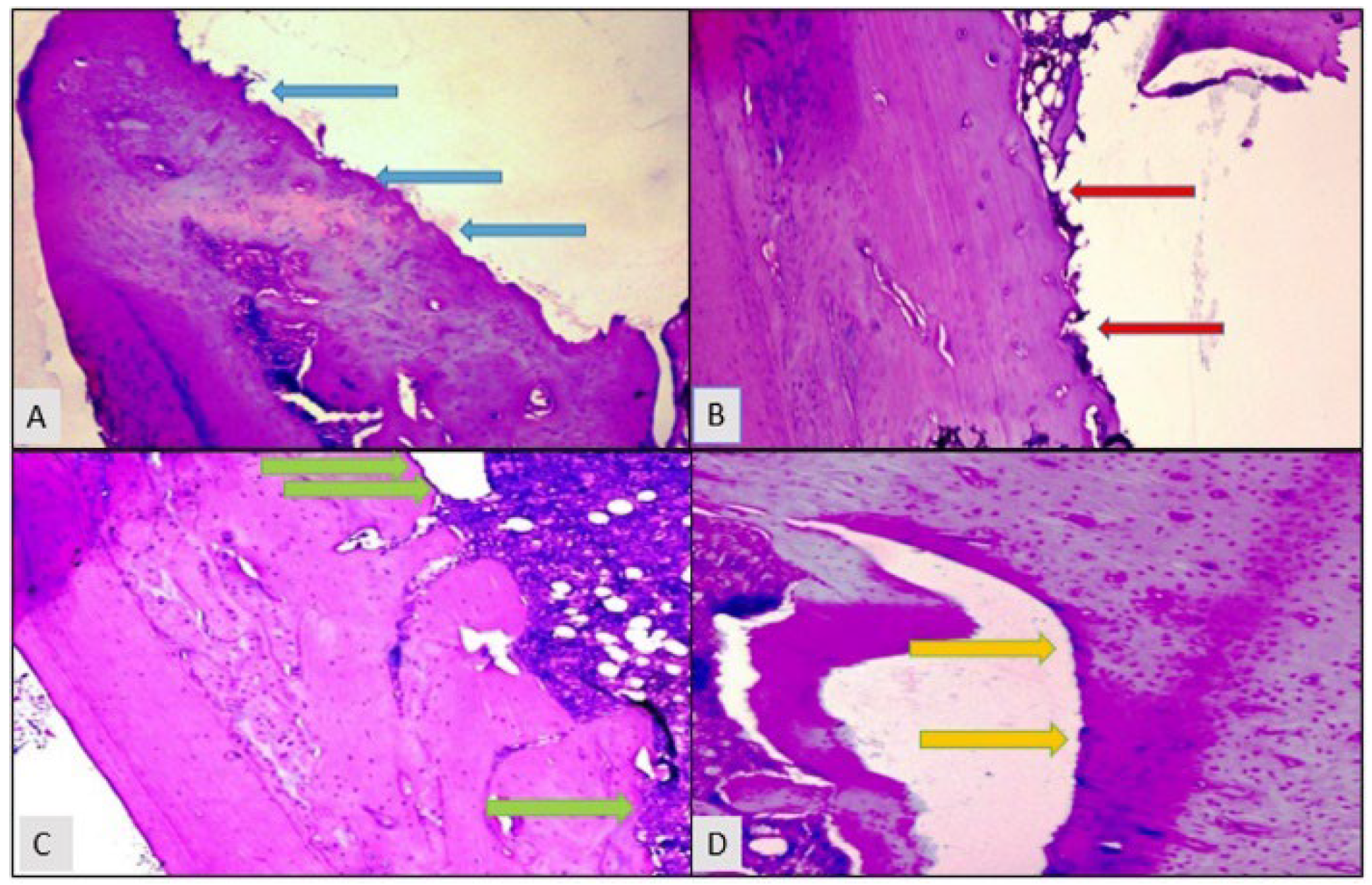 Applsci 14 06411 g001