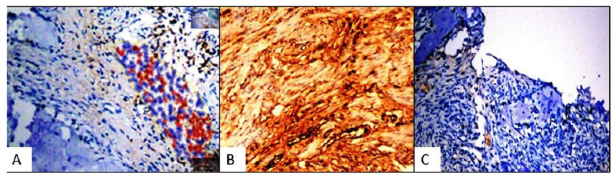 Applsci 14 06411 g002