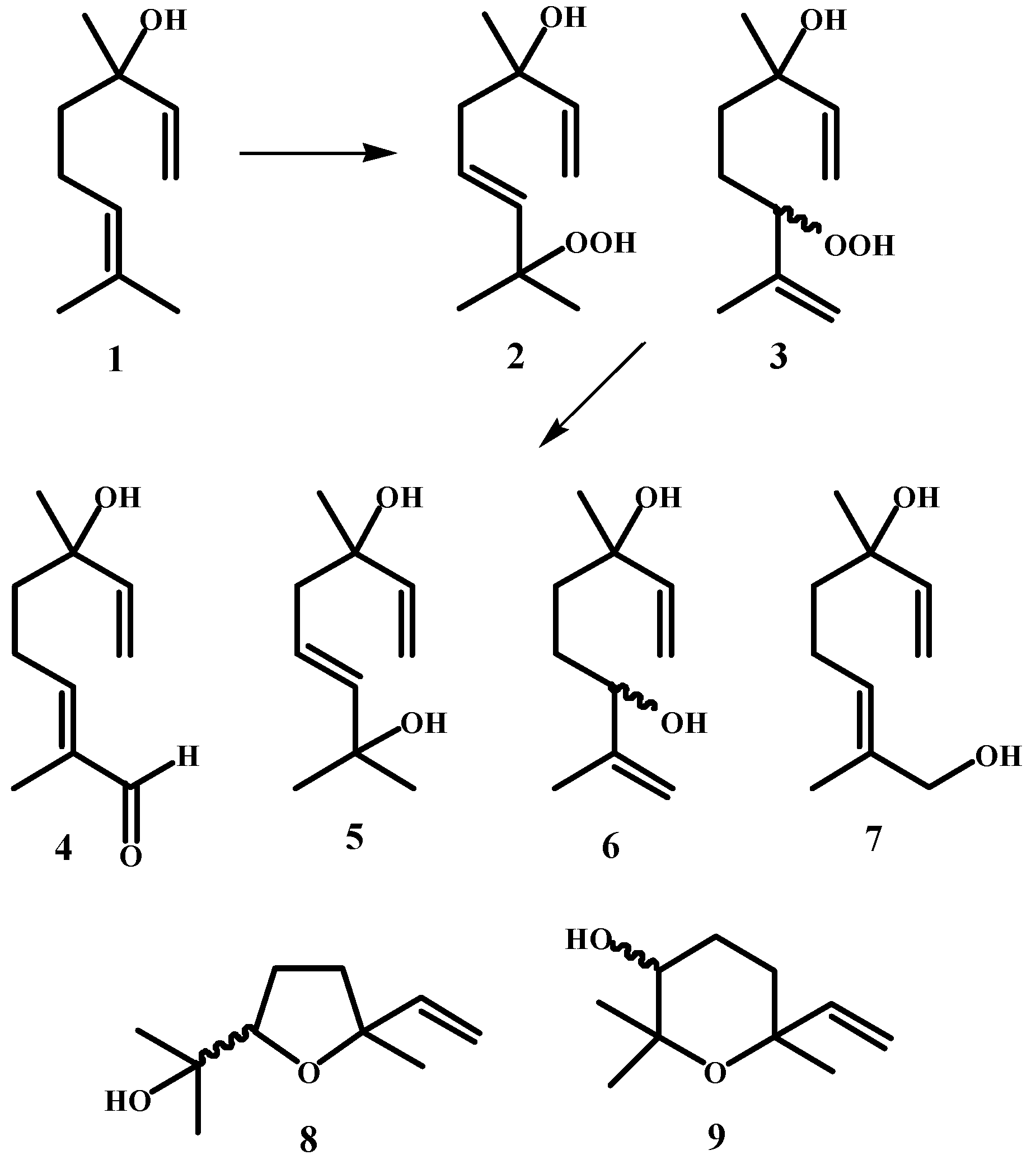 Applsci 14 06476 g002