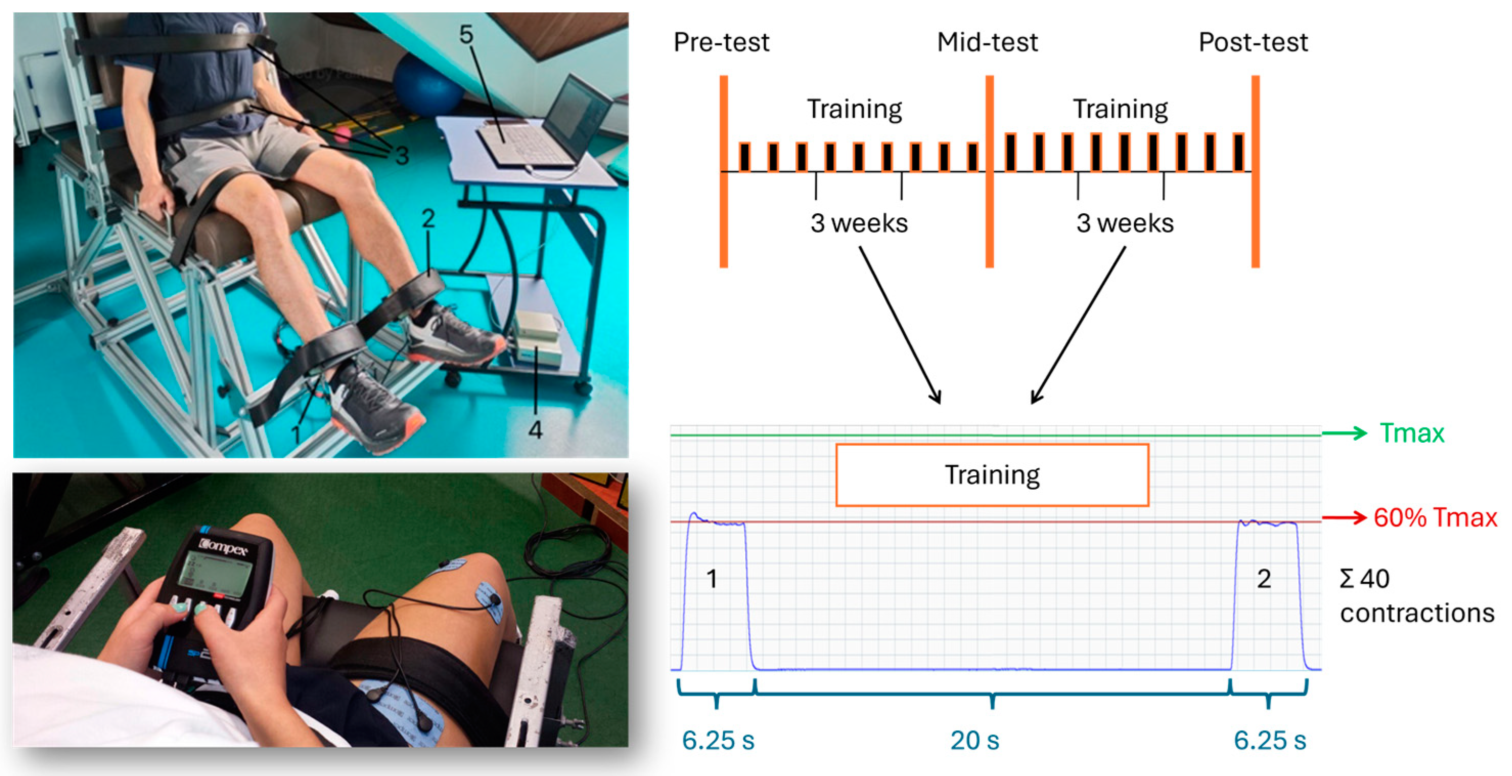 Applsci 14 06485 g002