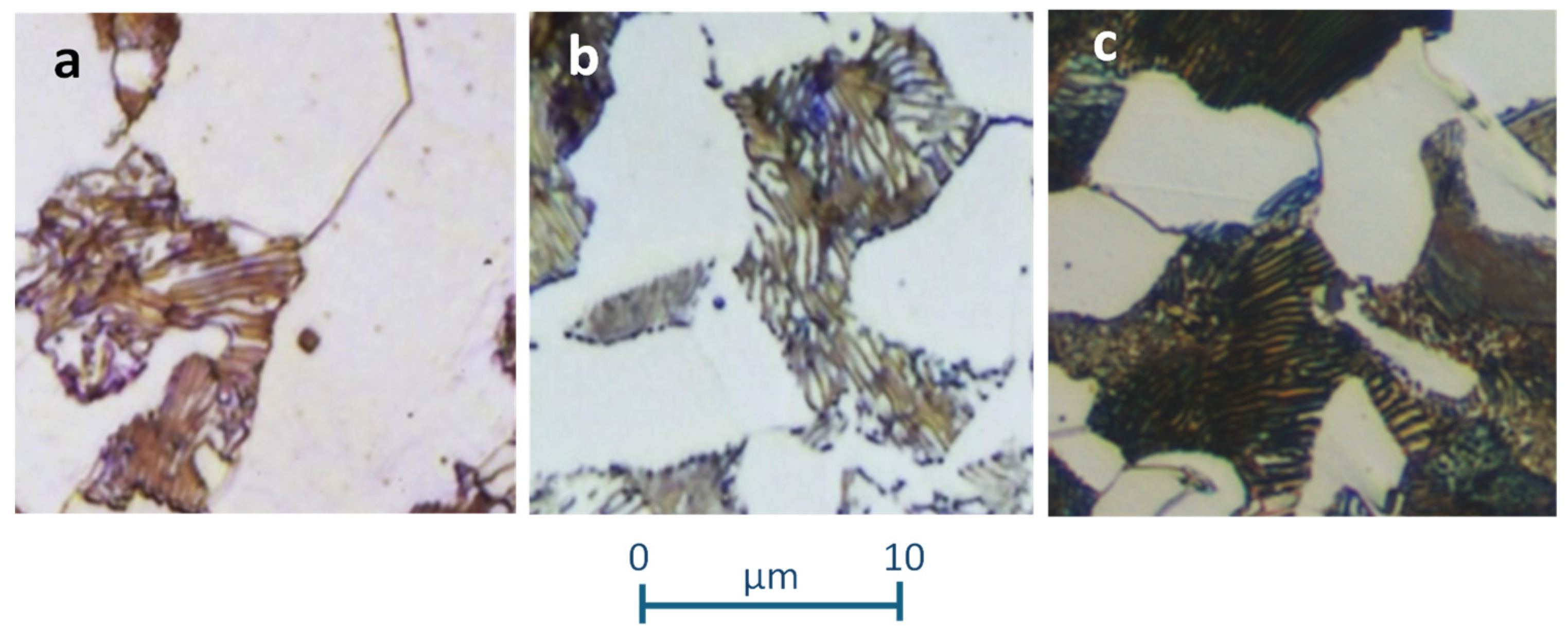 Applsci 14 06489 g001