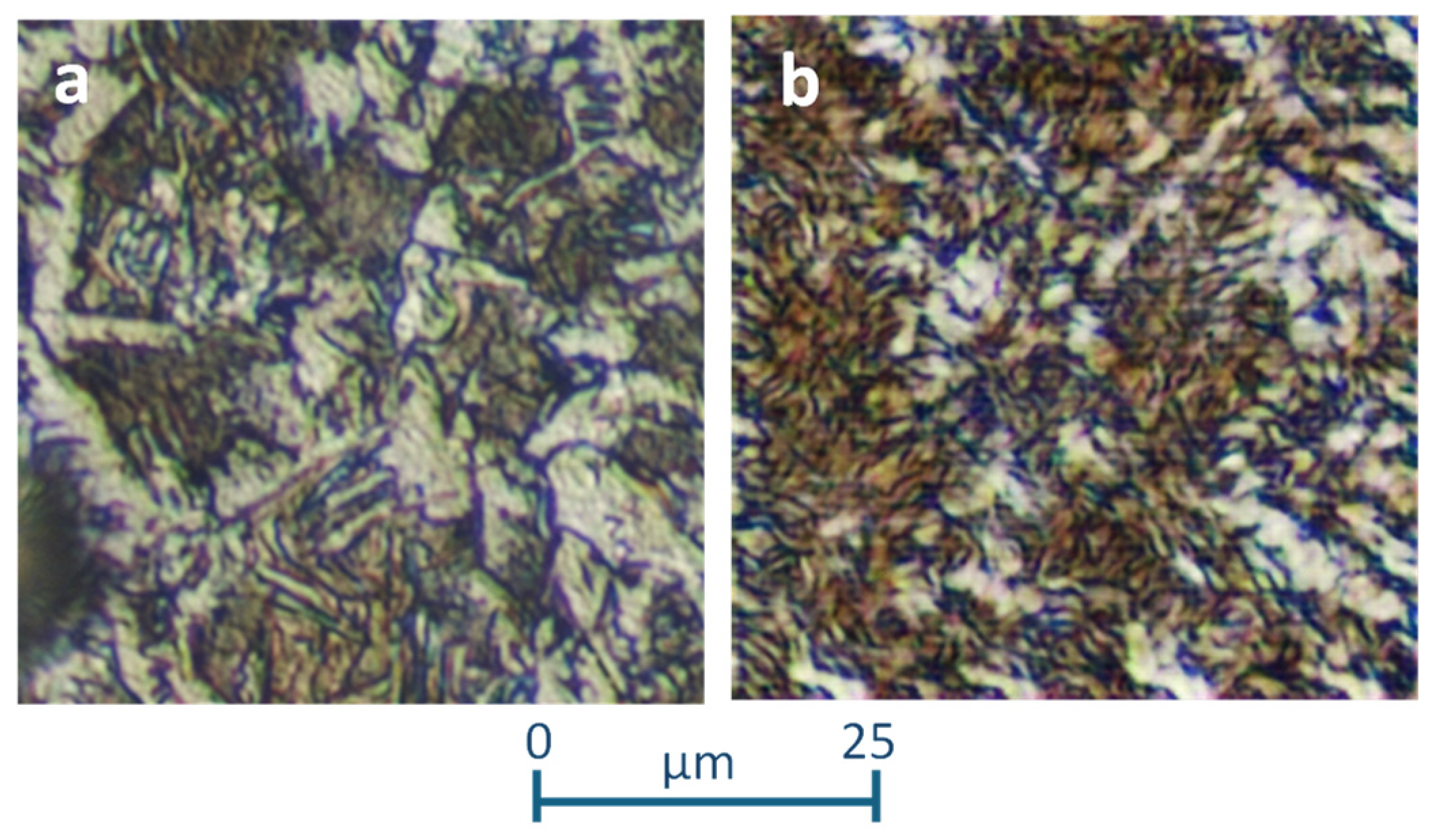 Applsci 14 06489 g011