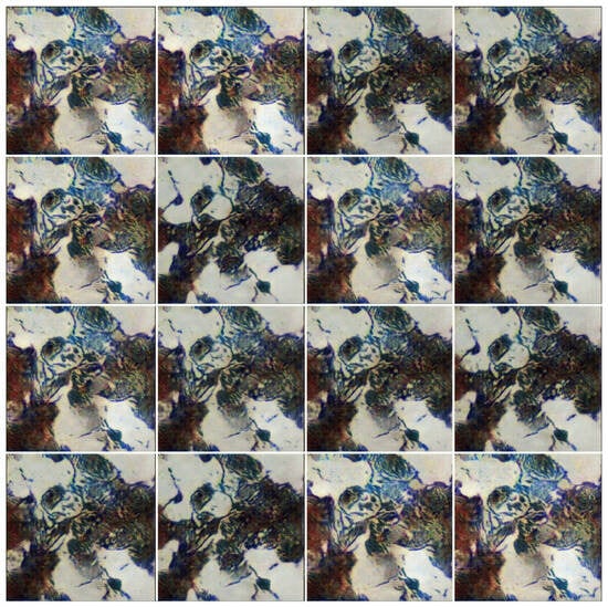 Applsci 14 06489 g0a1