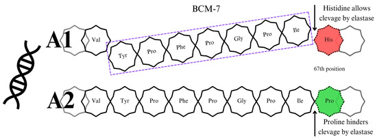 Applsci 14 06513 g002