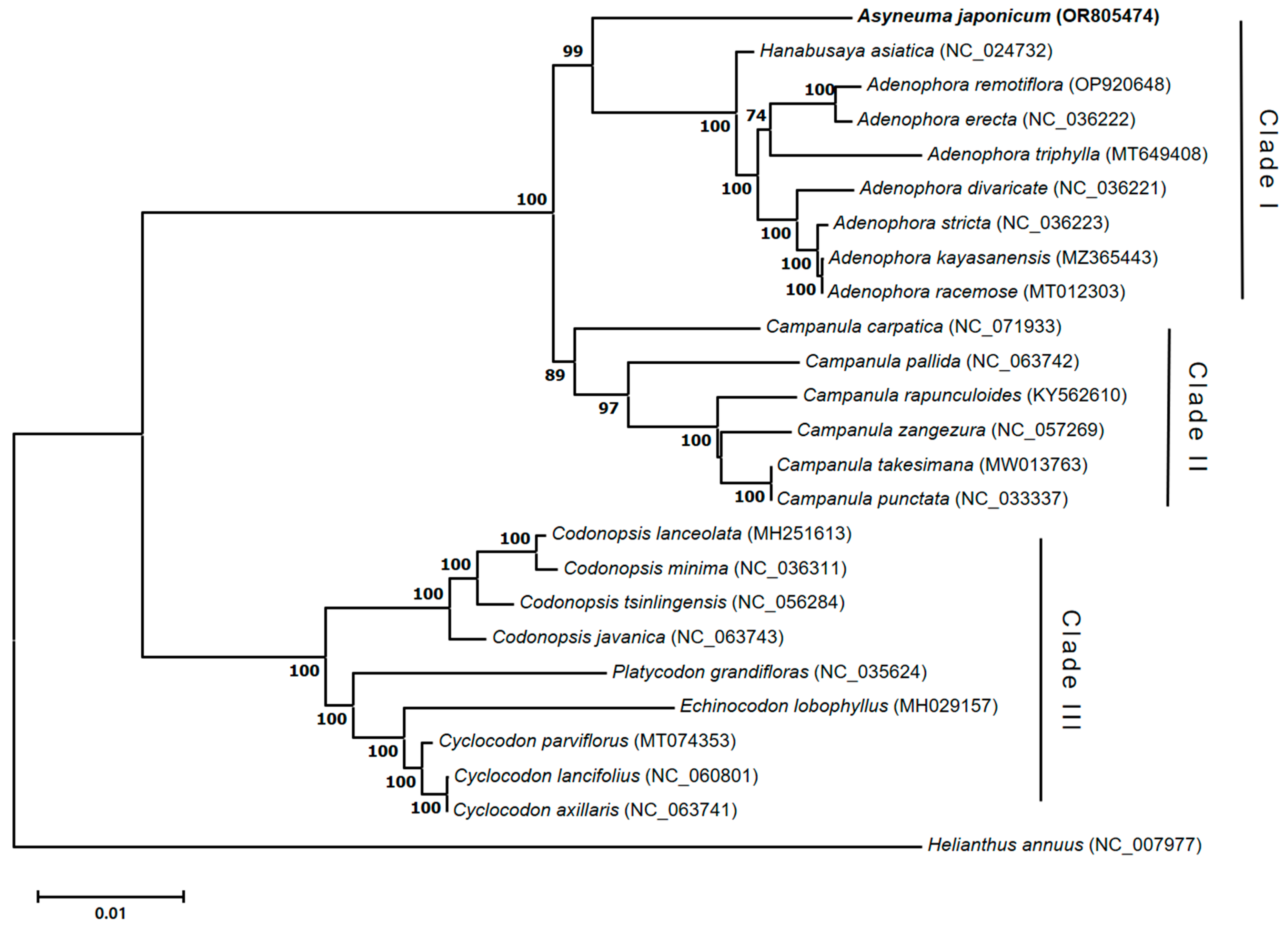 Applsci 14 06572 g006