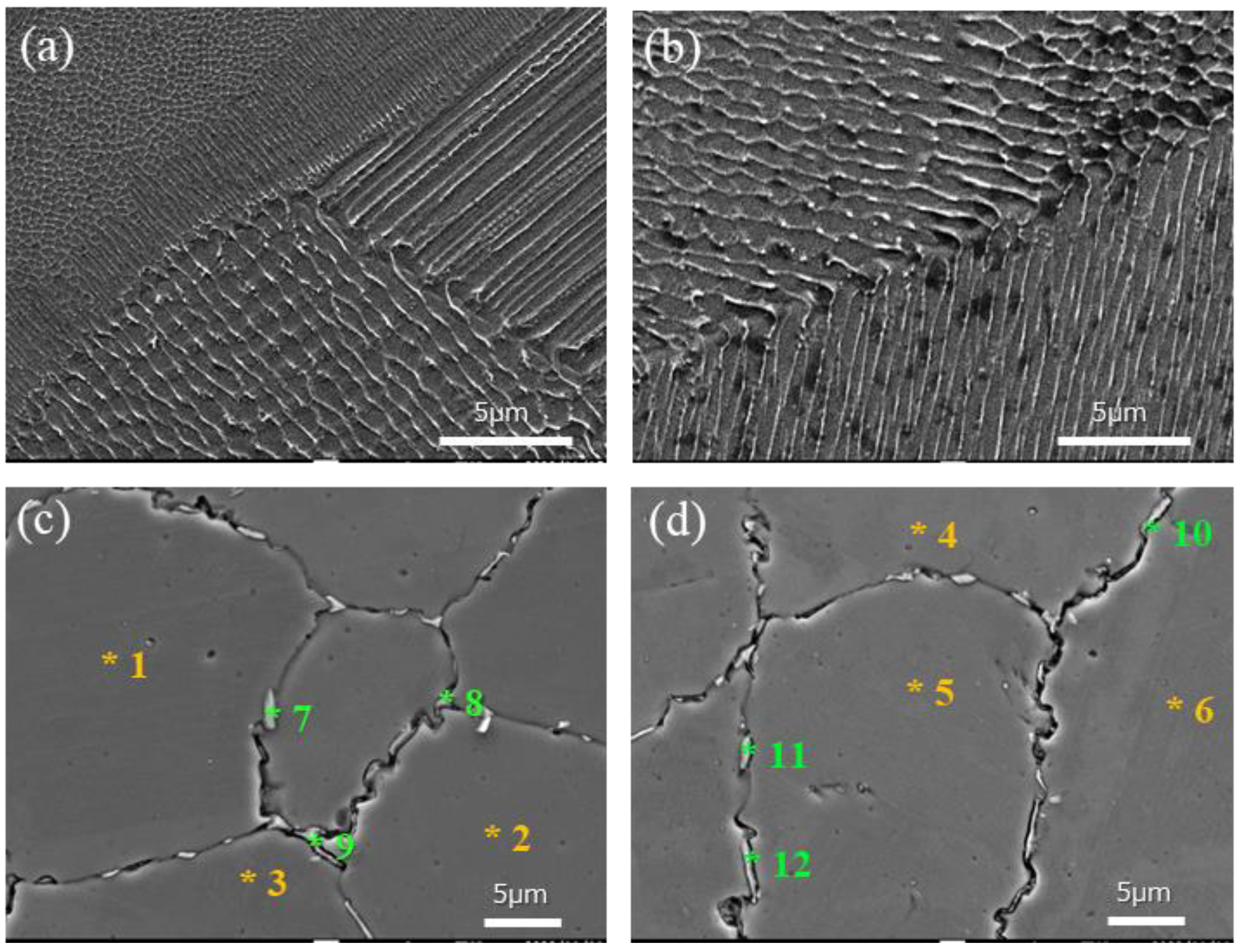 Applsci 14 06576 g006