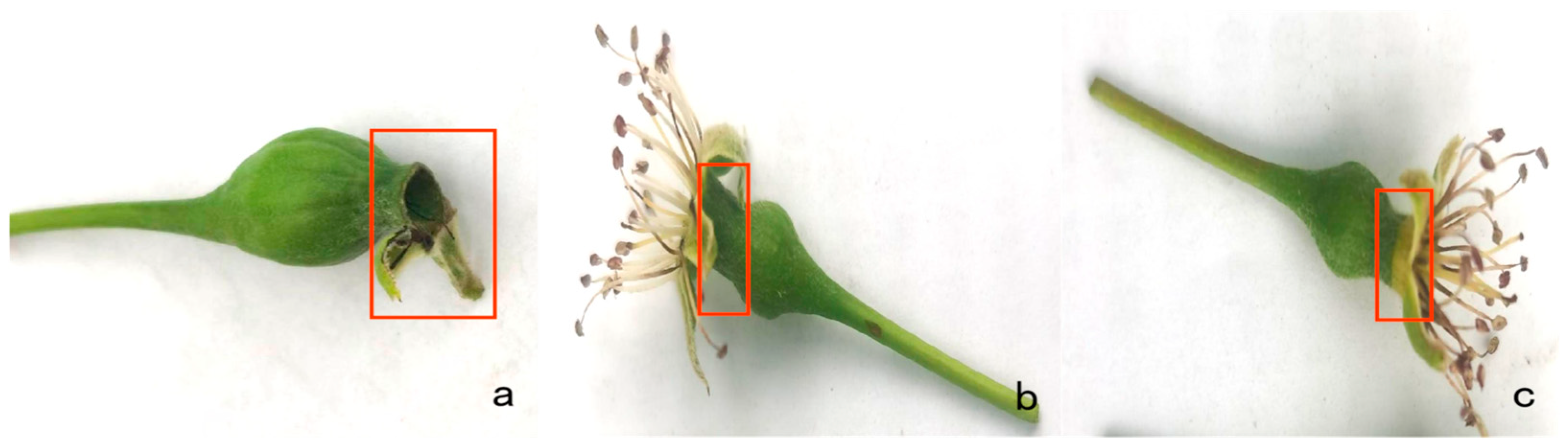 Applsci 14 06589 g002