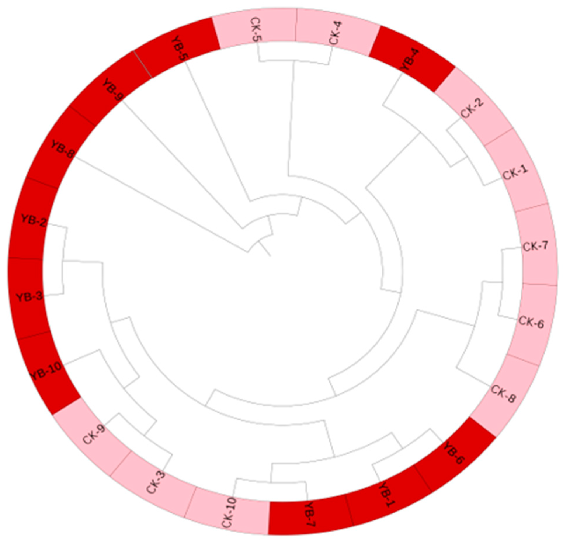 Applsci 14 06589 g006