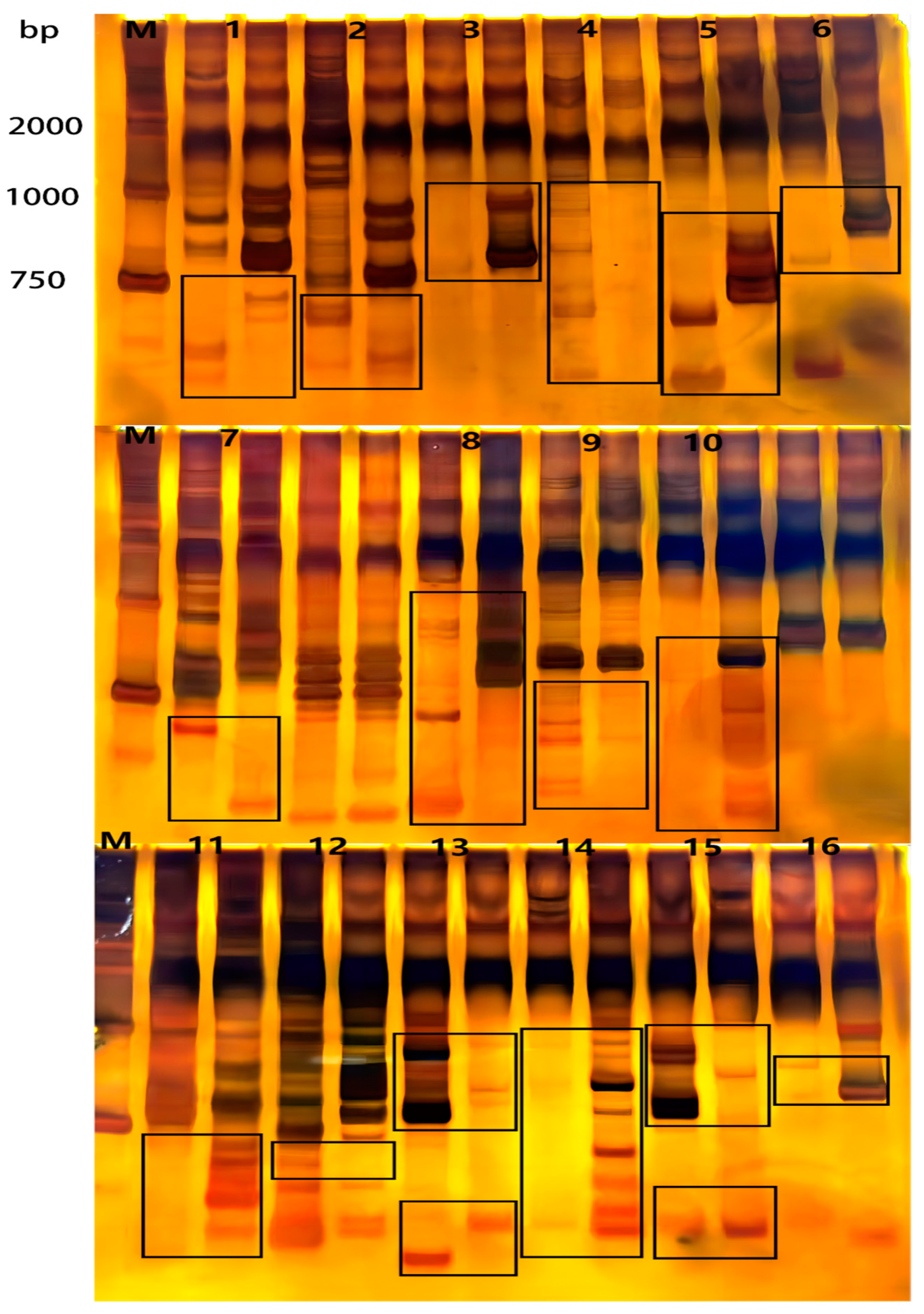 Applsci 14 06589 g010