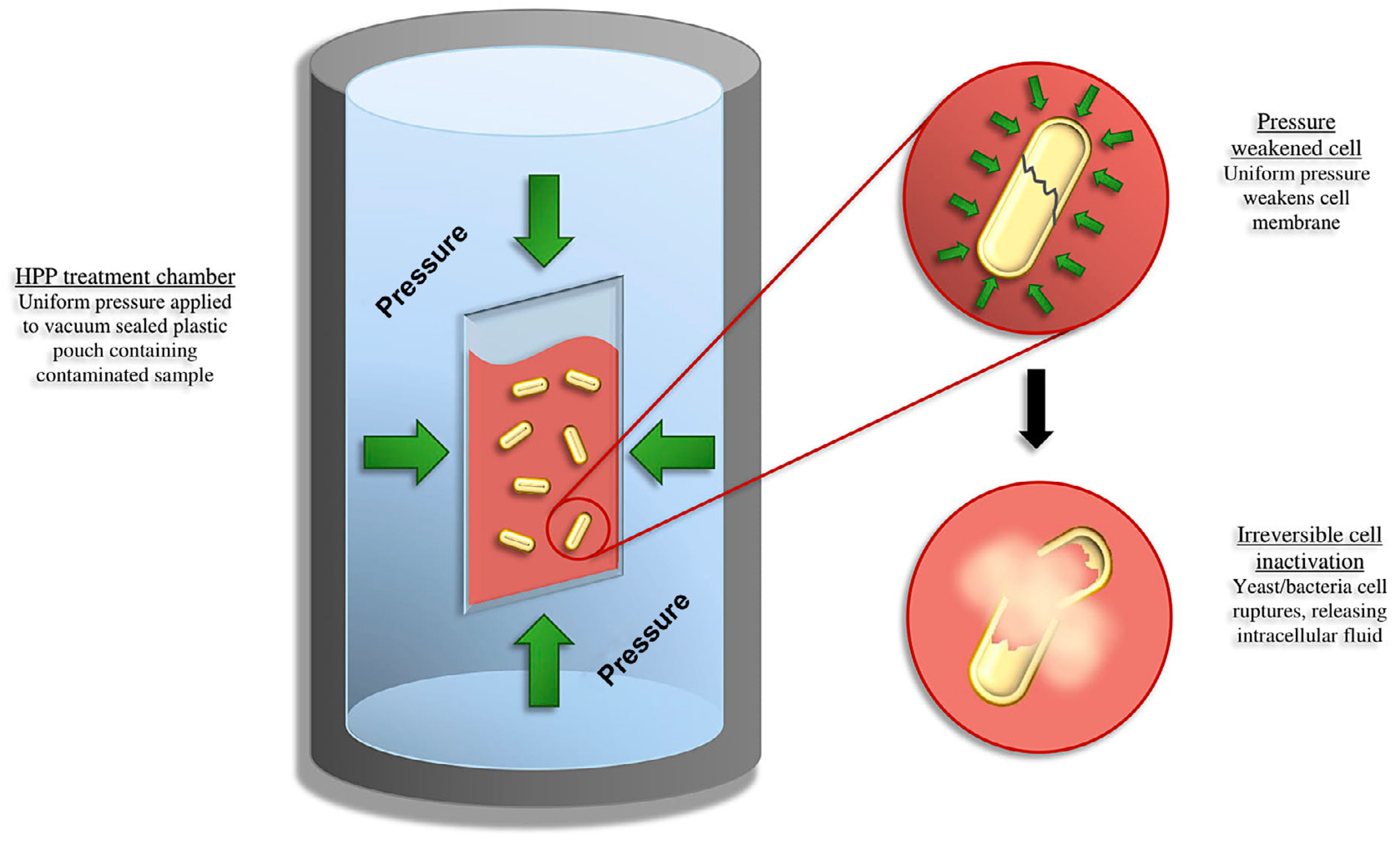 Applsci 14 06612 g005