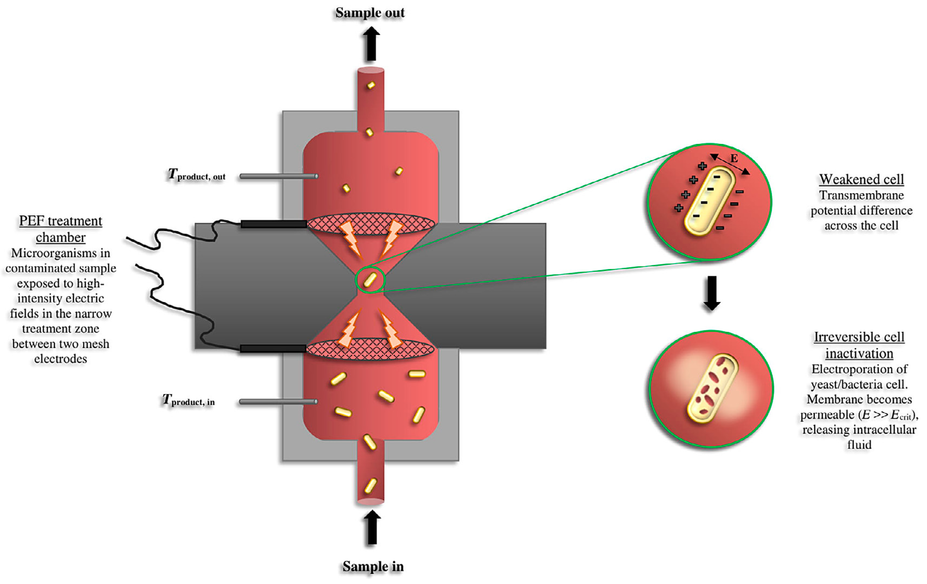 Applsci 14 06612 g006