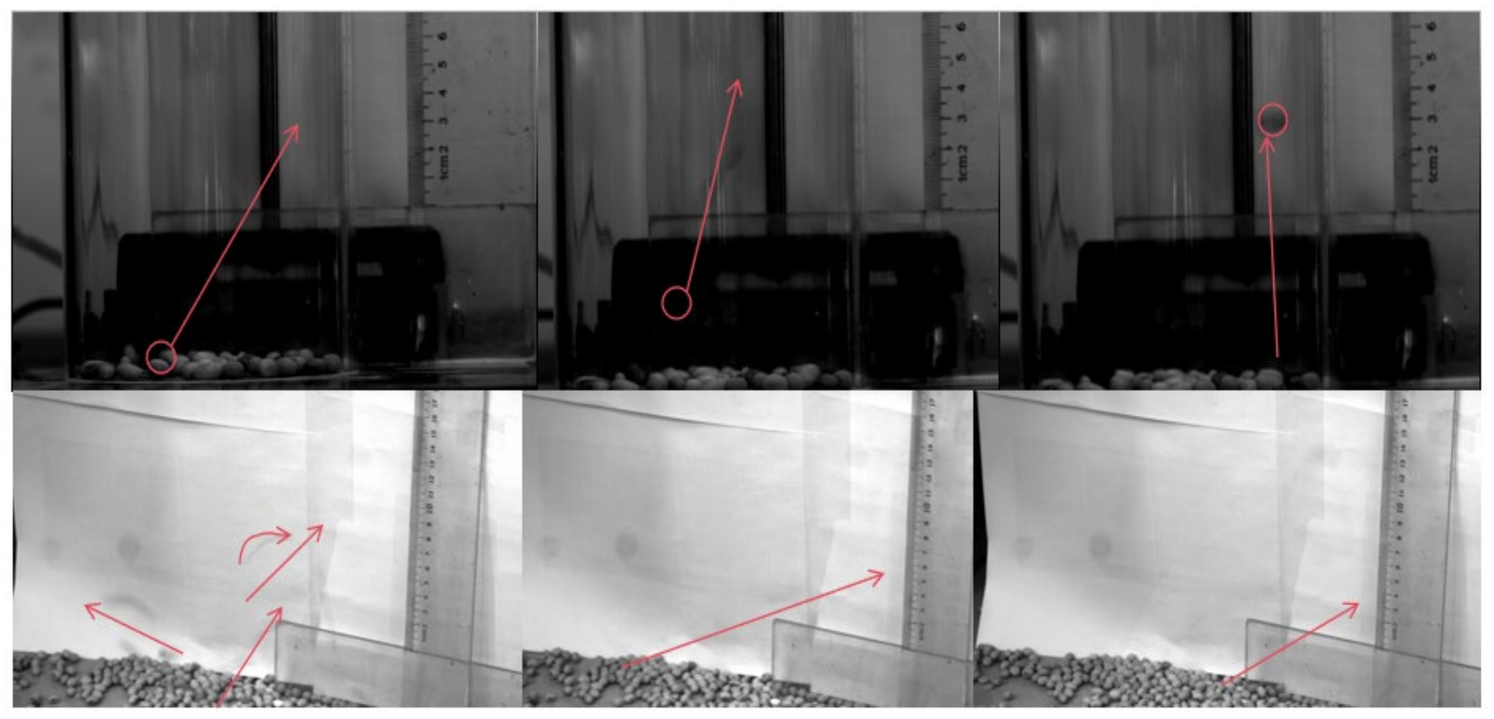 Applsci 14 06620 g011