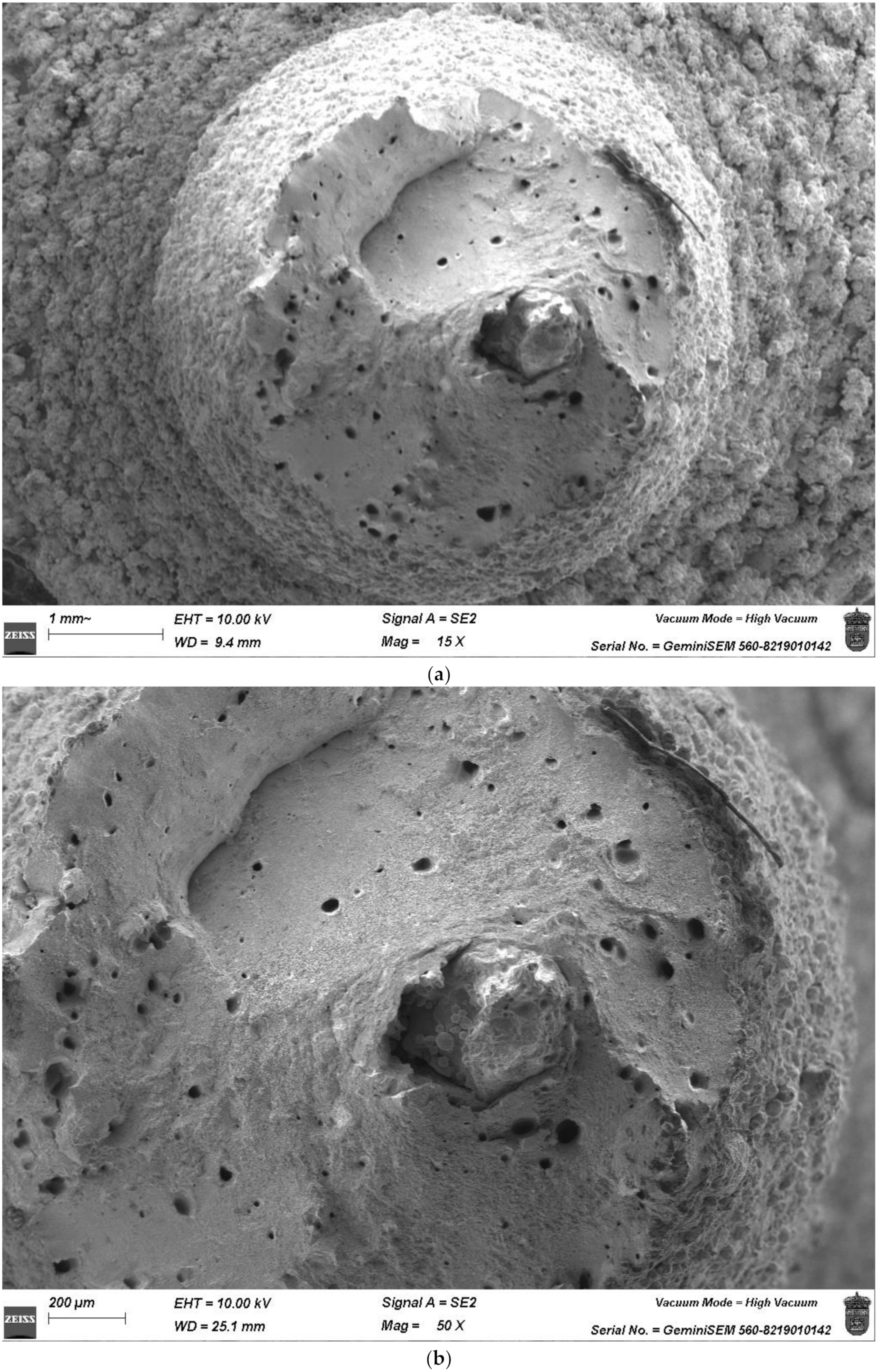 Applsci 14 06655 g003