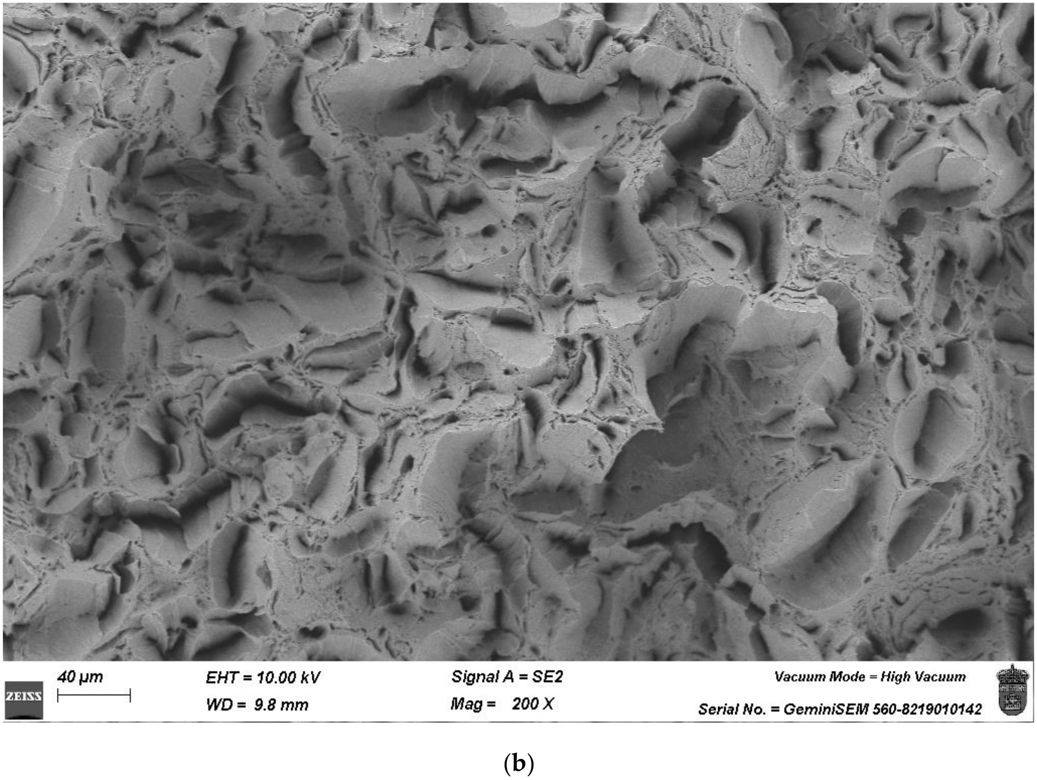 Applsci 14 06655 g008b