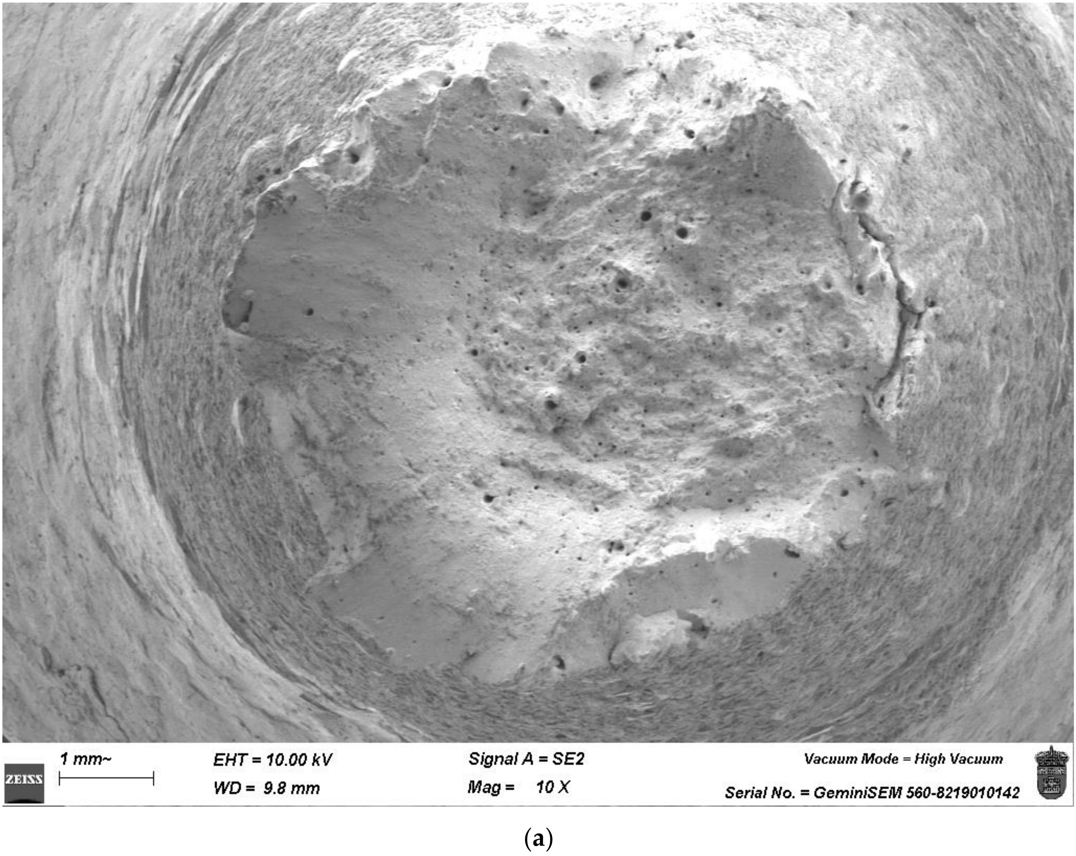 Applsci 14 06655 g009a