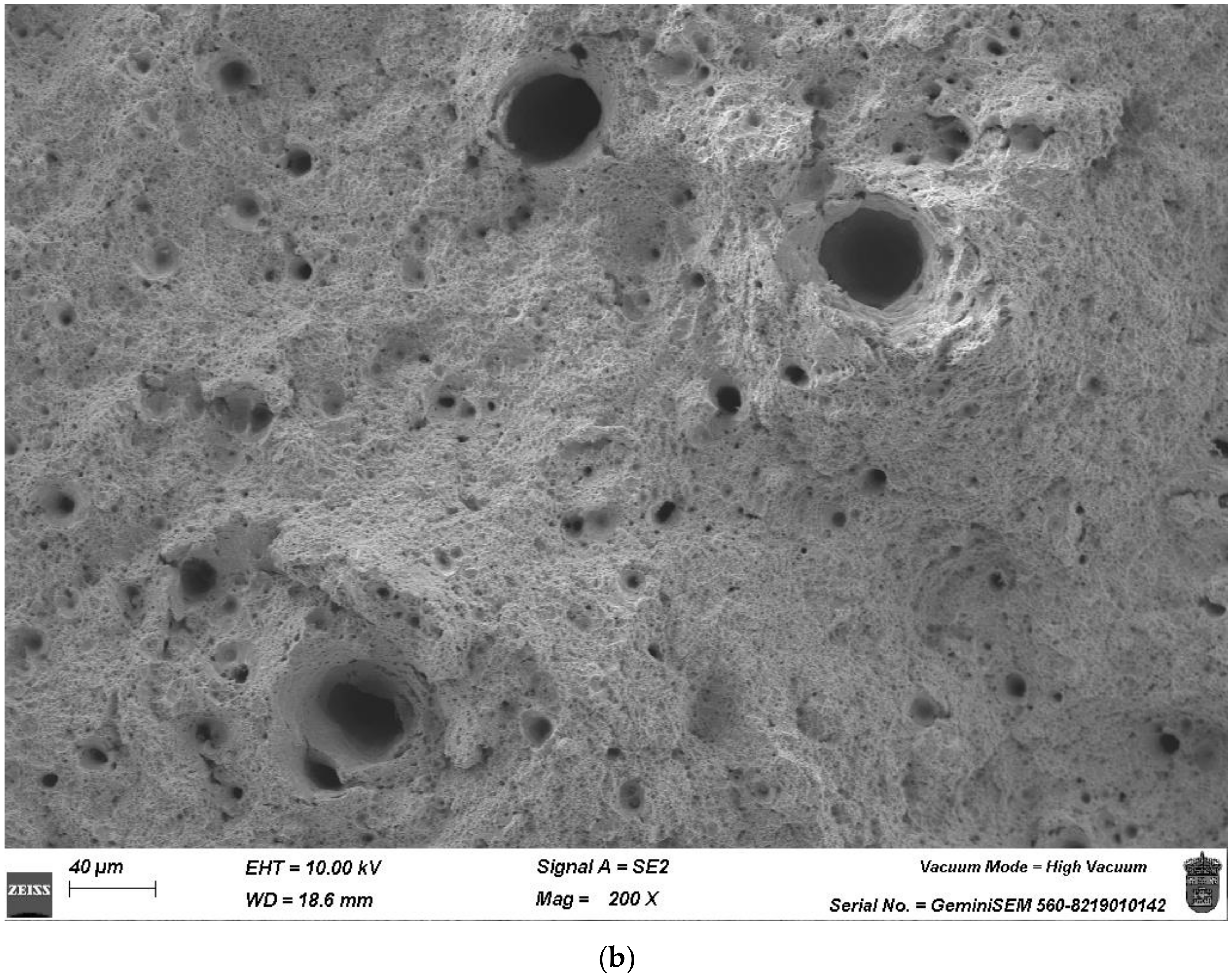 Applsci 14 06655 g009b