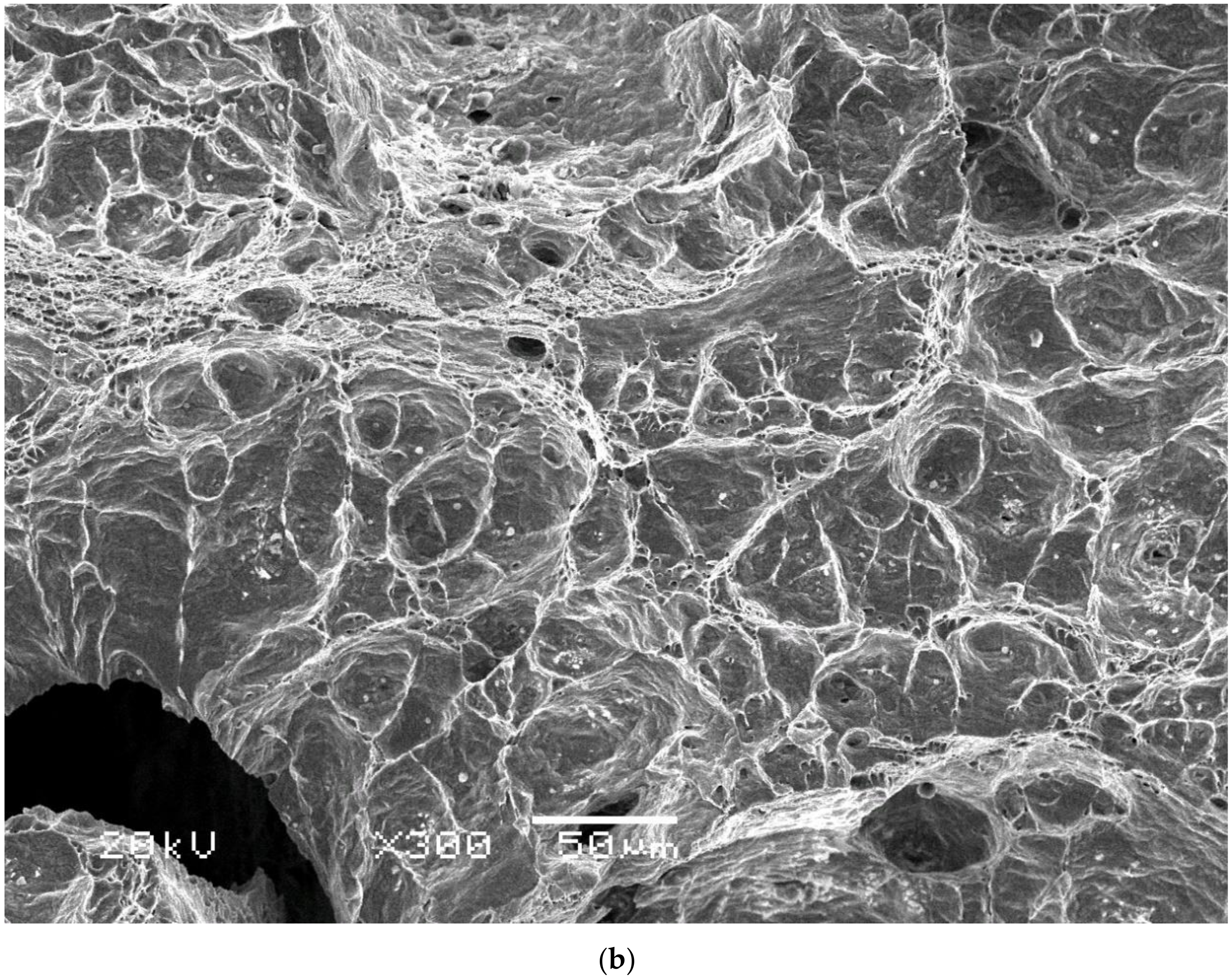 Applsci 14 06655 g010b