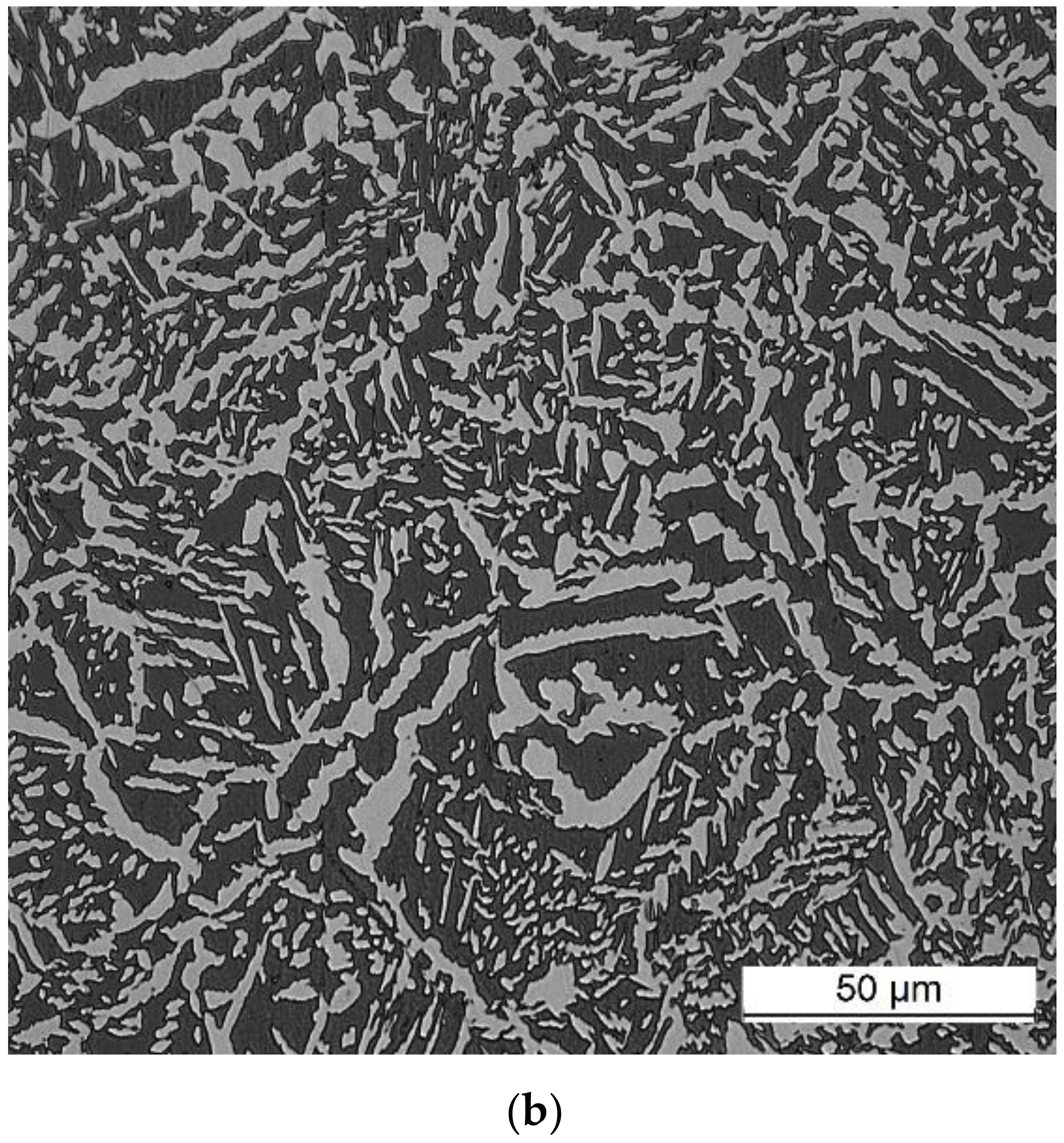 Applsci 14 06655 g011b