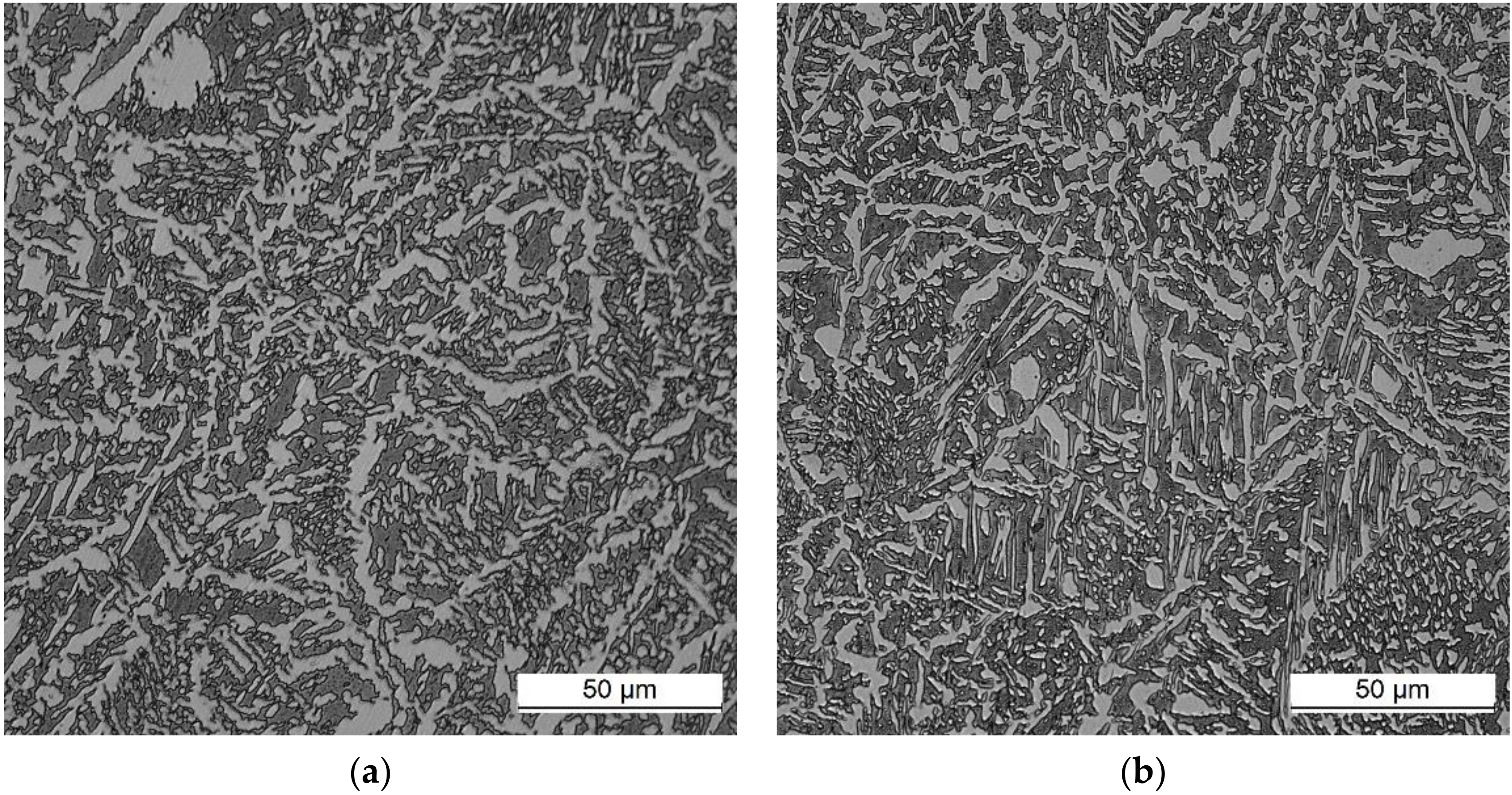 Applsci 14 06655 g013a