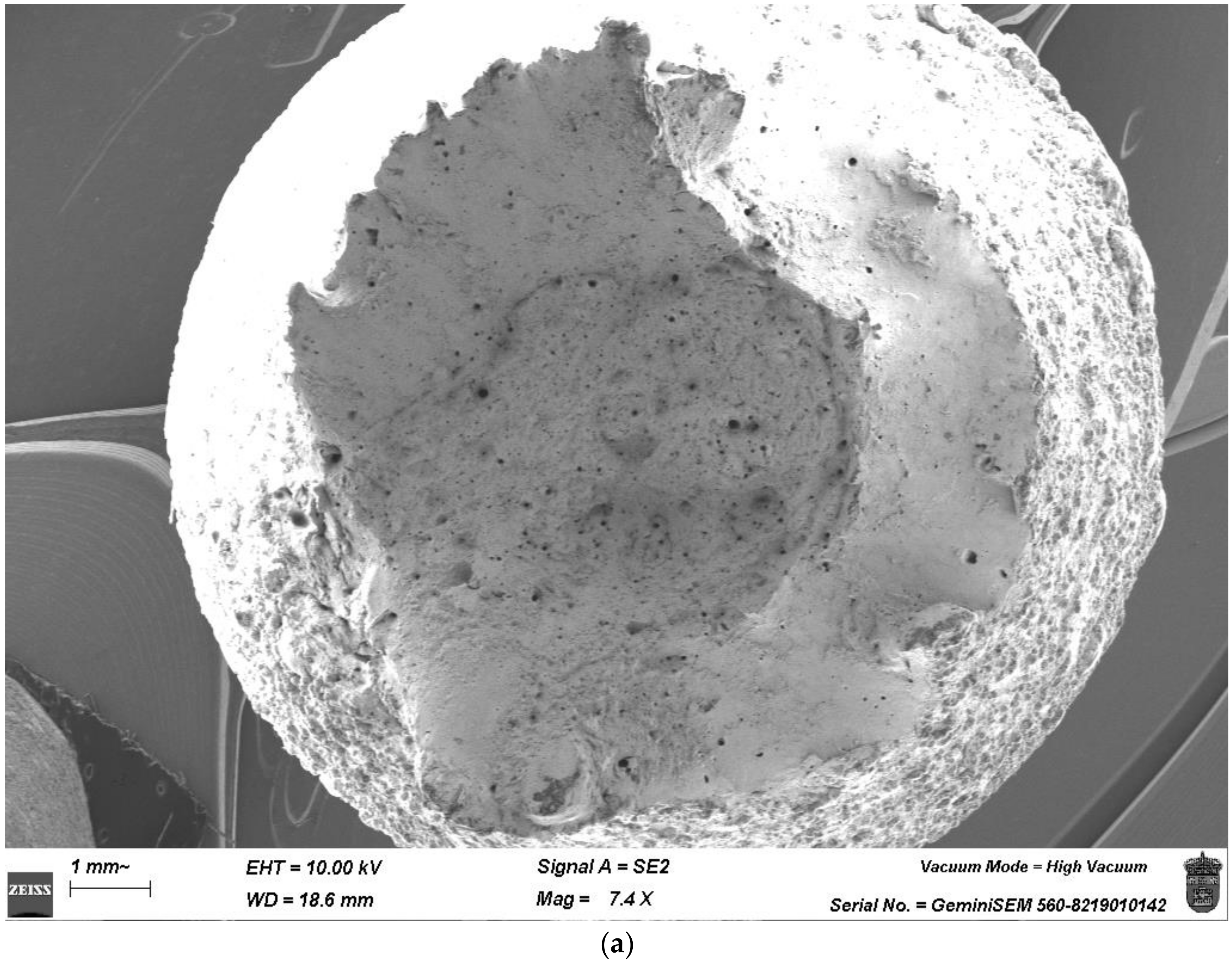 Applsci 14 06655 g014a