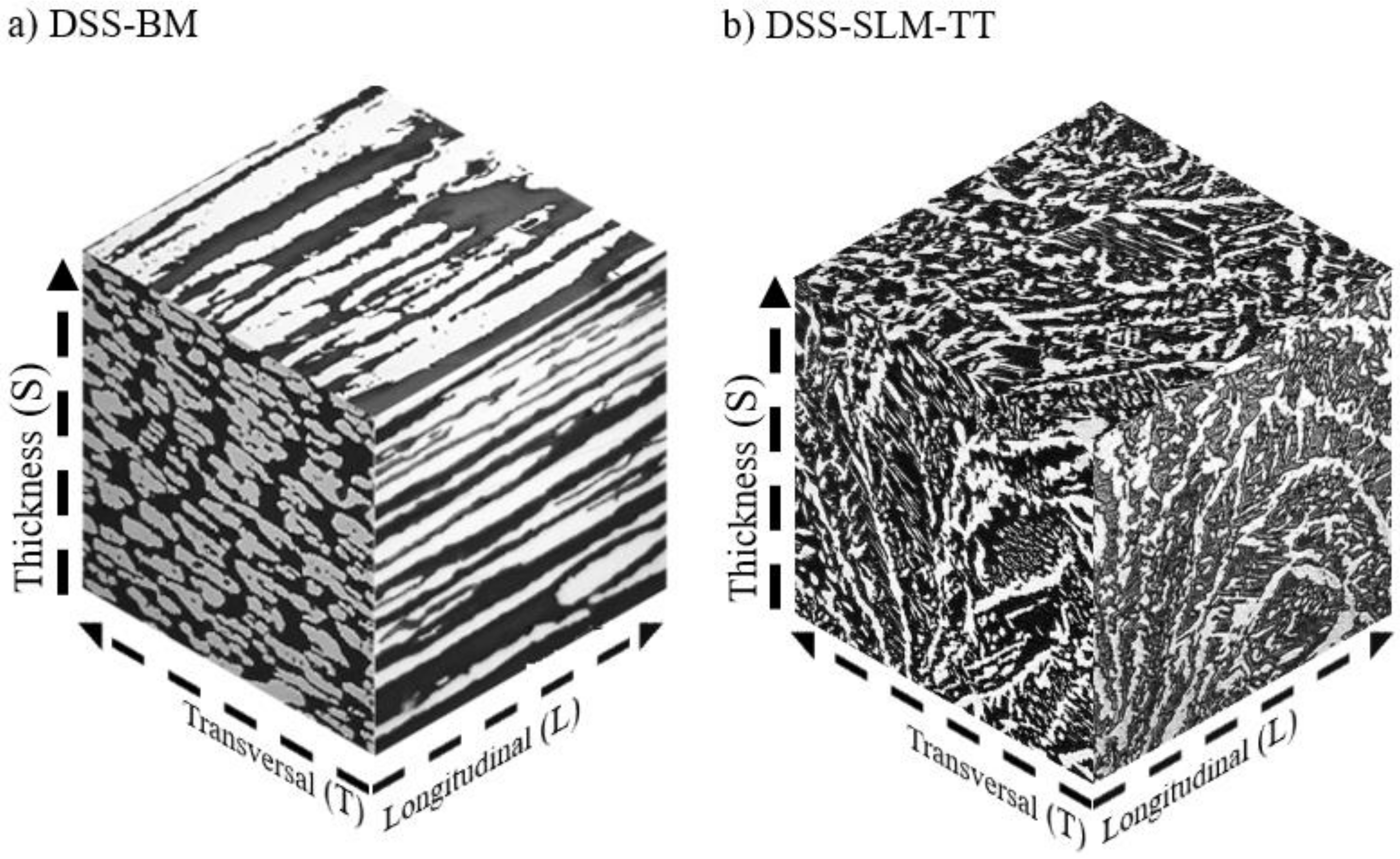 Applsci 14 06655 g016