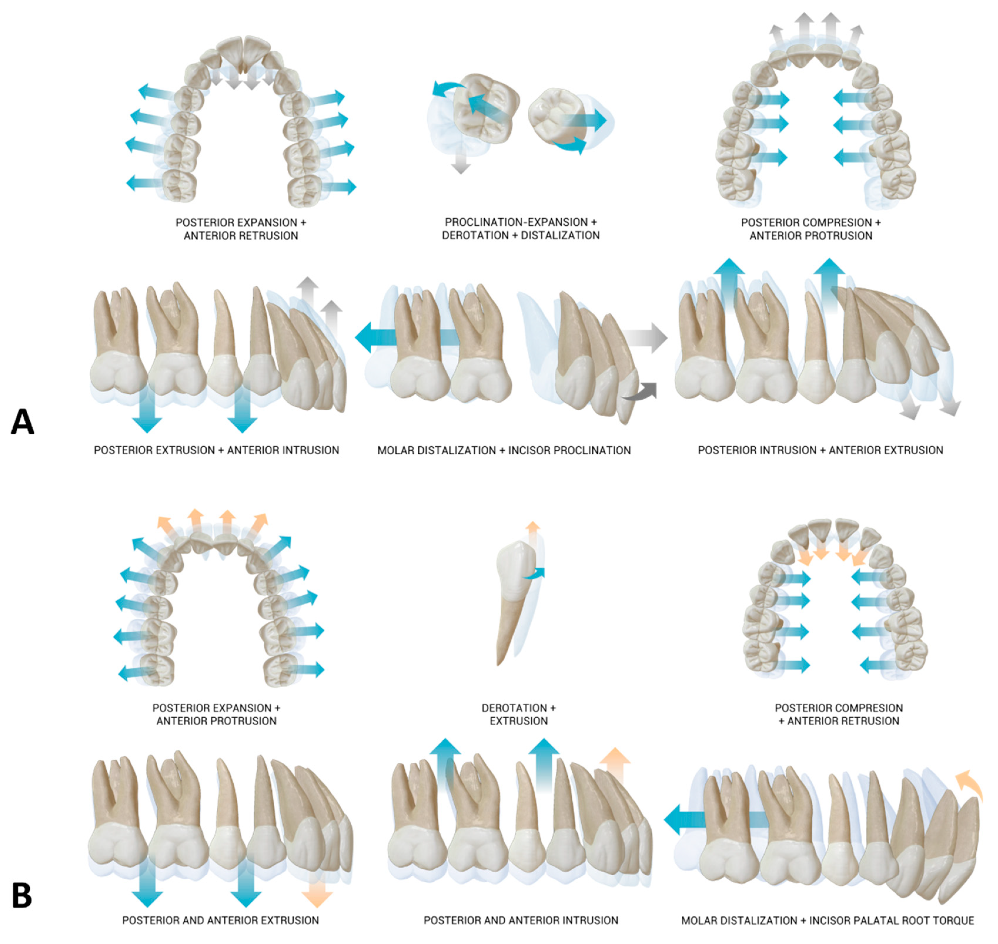 Applsci 14 06690 g001