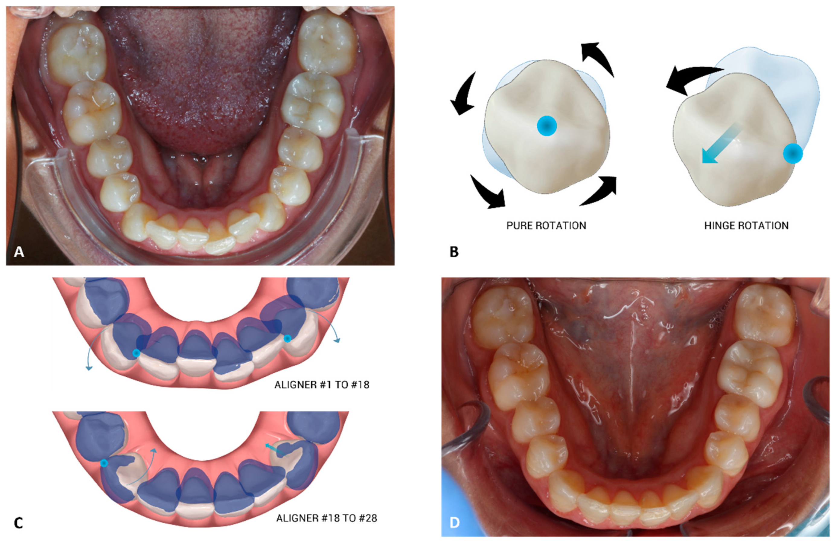Applsci 14 06690 g009