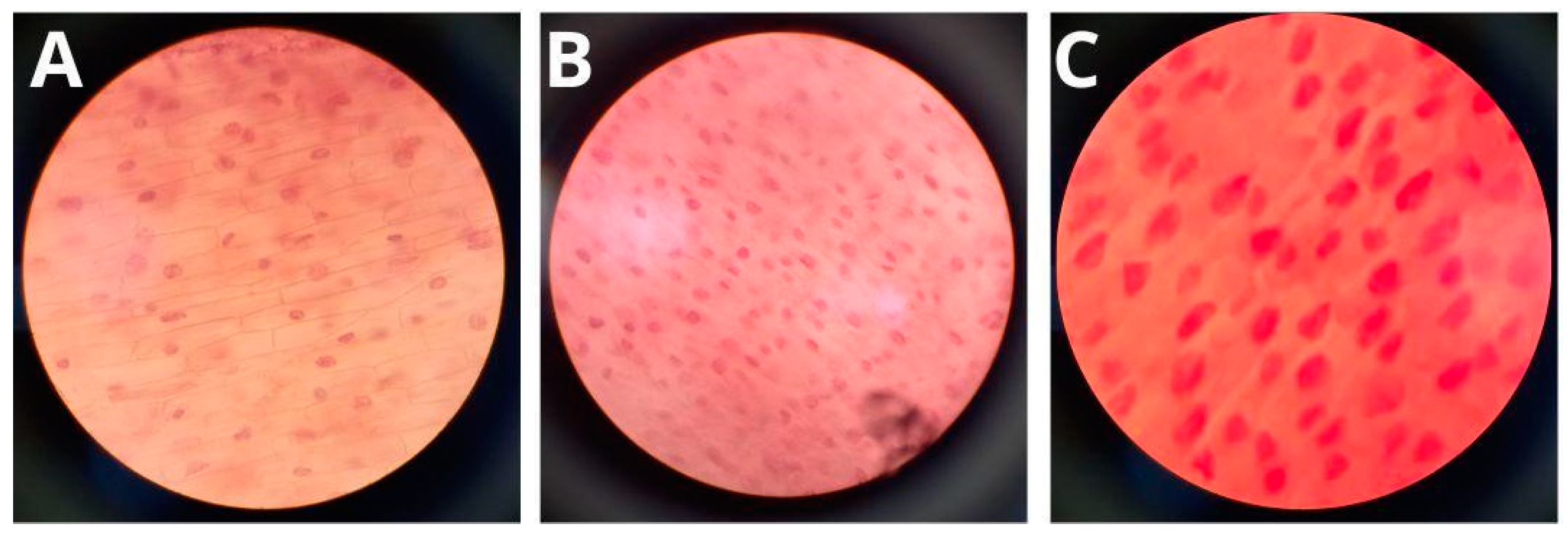 Applsci 14 06711 g009