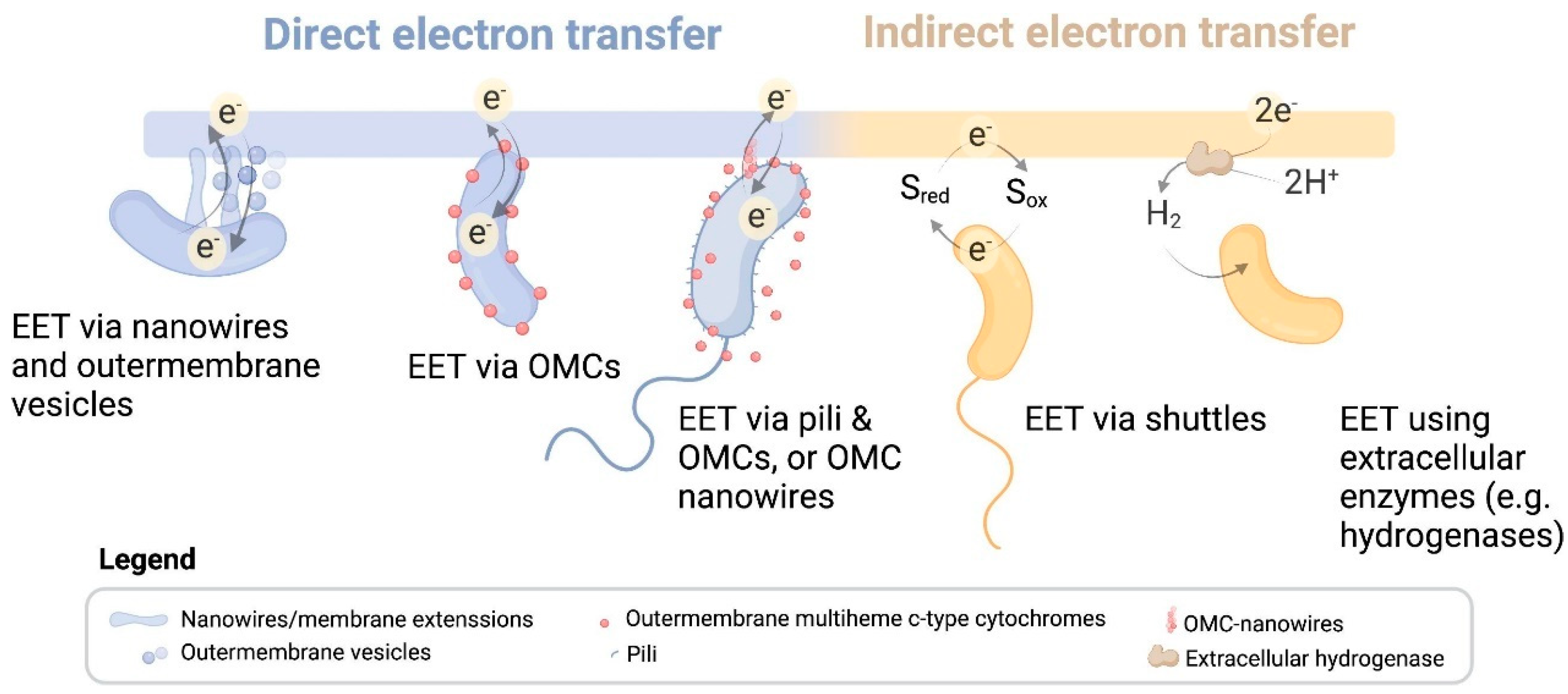 Applsci 14 06733 g001