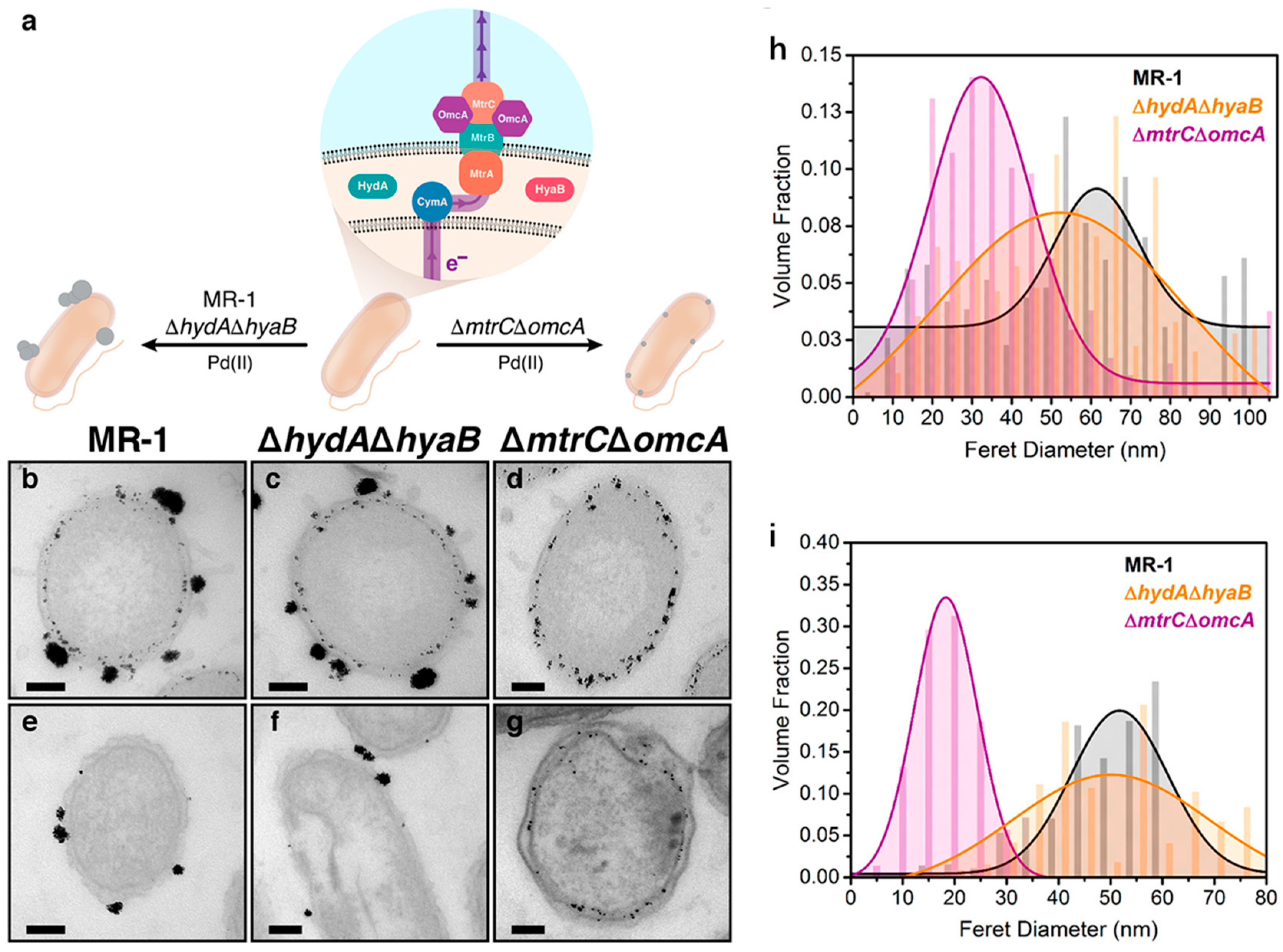 Applsci 14 06733 g003
