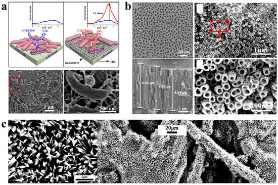 Applsci 14 06733 g004