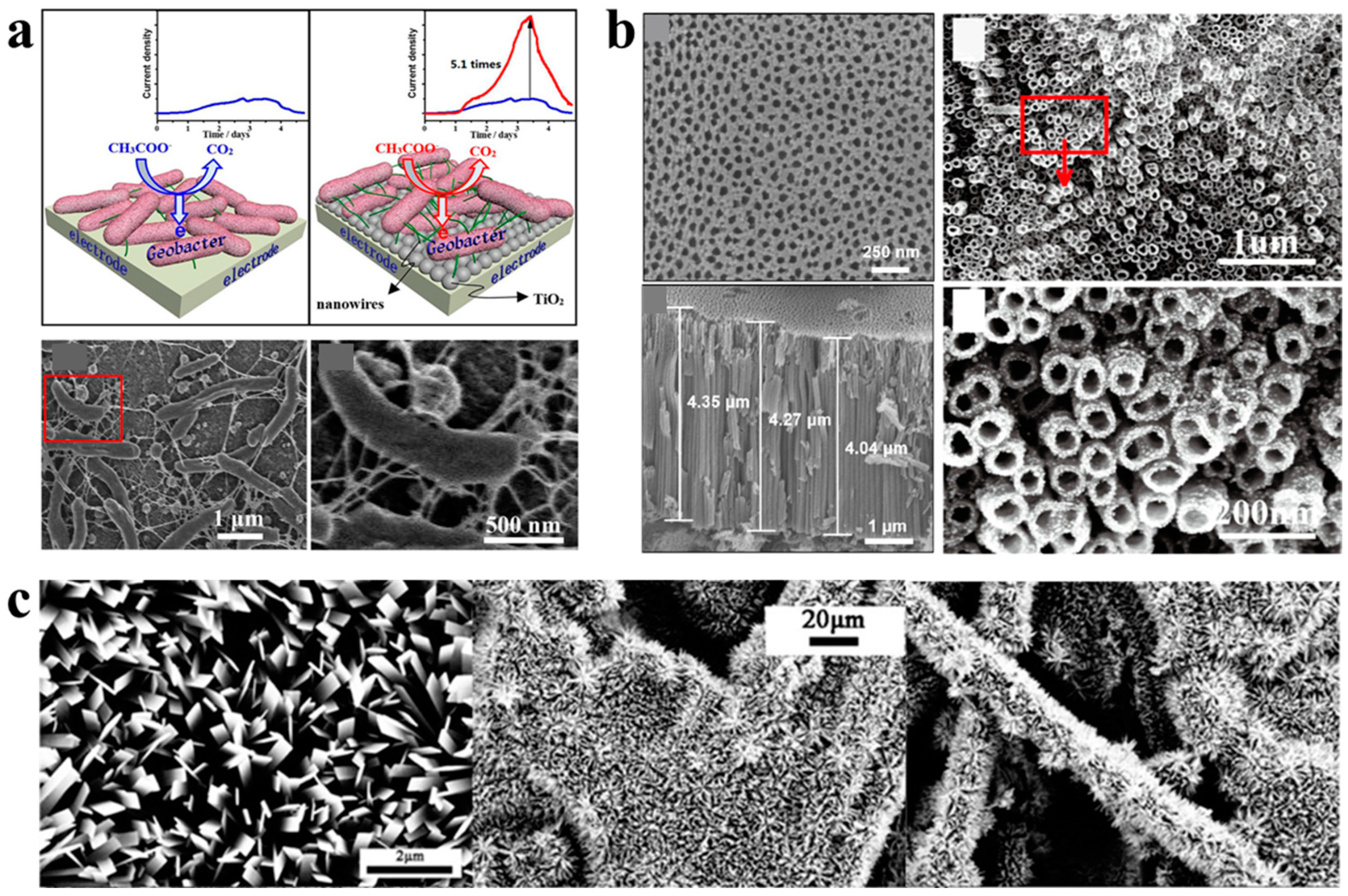 Applsci 14 06733 g004