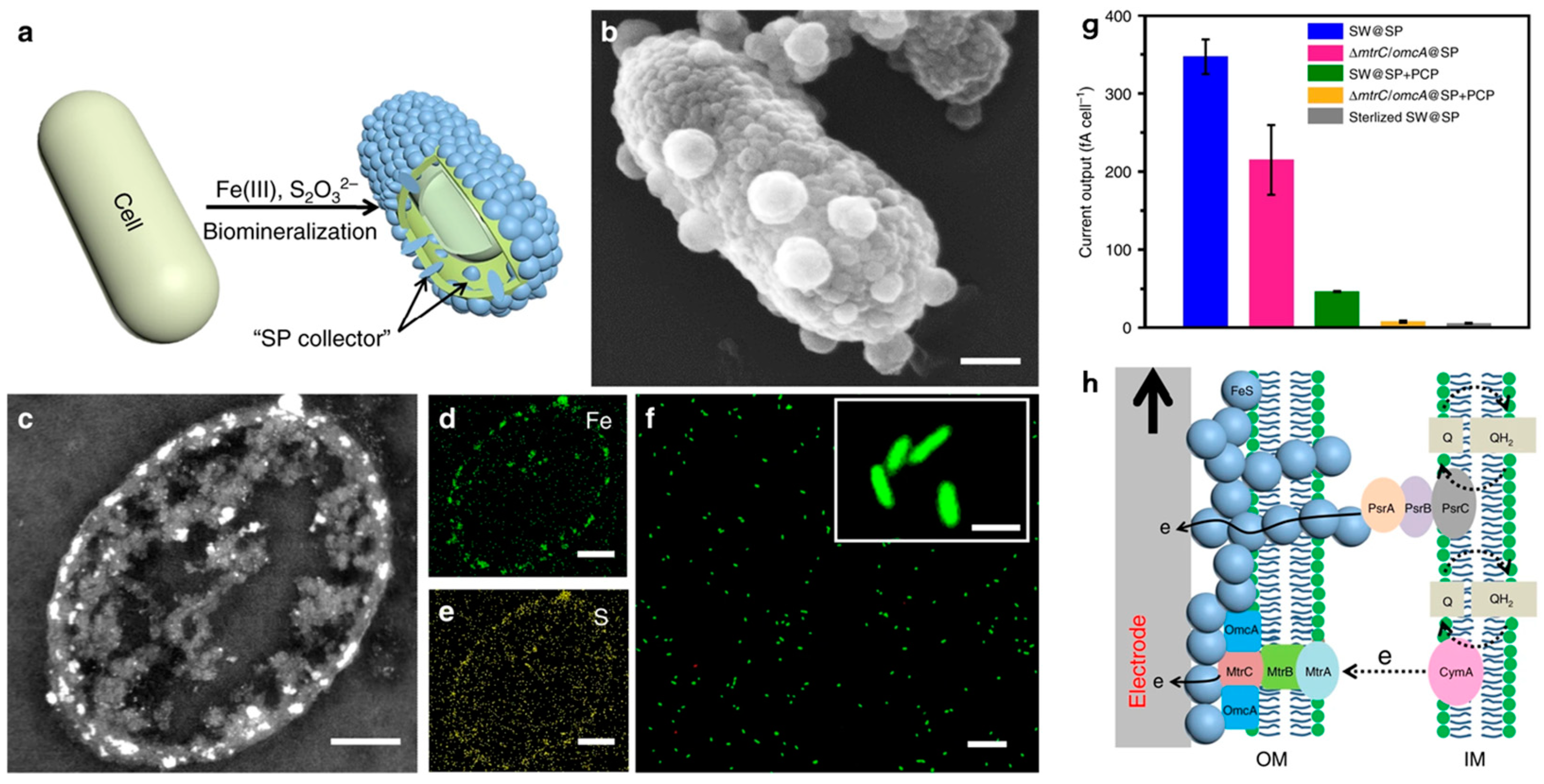 Applsci 14 06733 g005