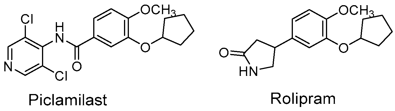 Applsci 14 06747 g001