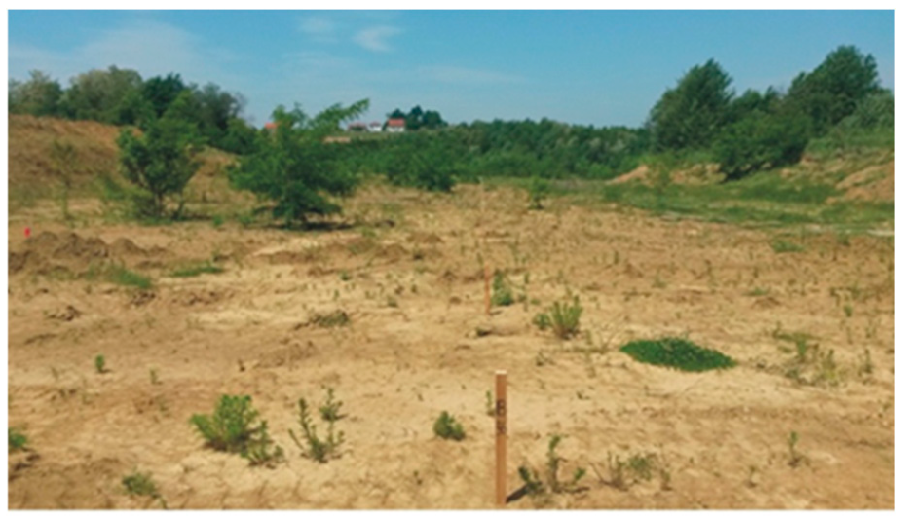 Applsci 14 06790 g002