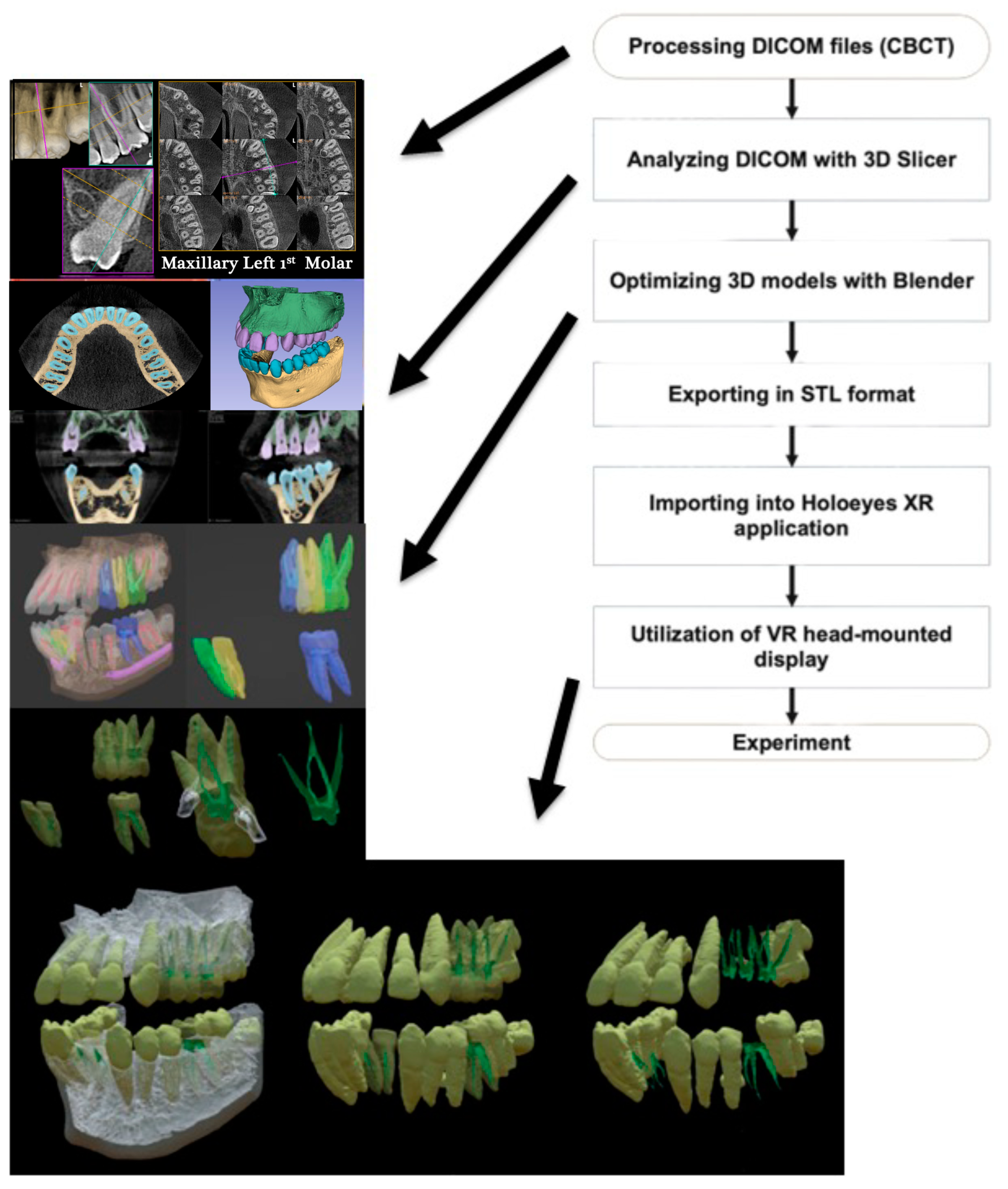Applsci 14 06813 g001