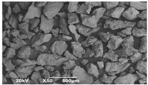 Applsci 14 06823 i001