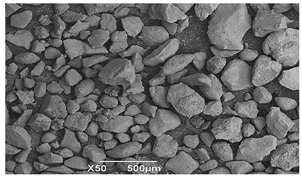 Applsci 14 06823 i002