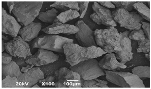 Applsci 14 06823 i003