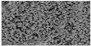 Applsci 14 06823 i006