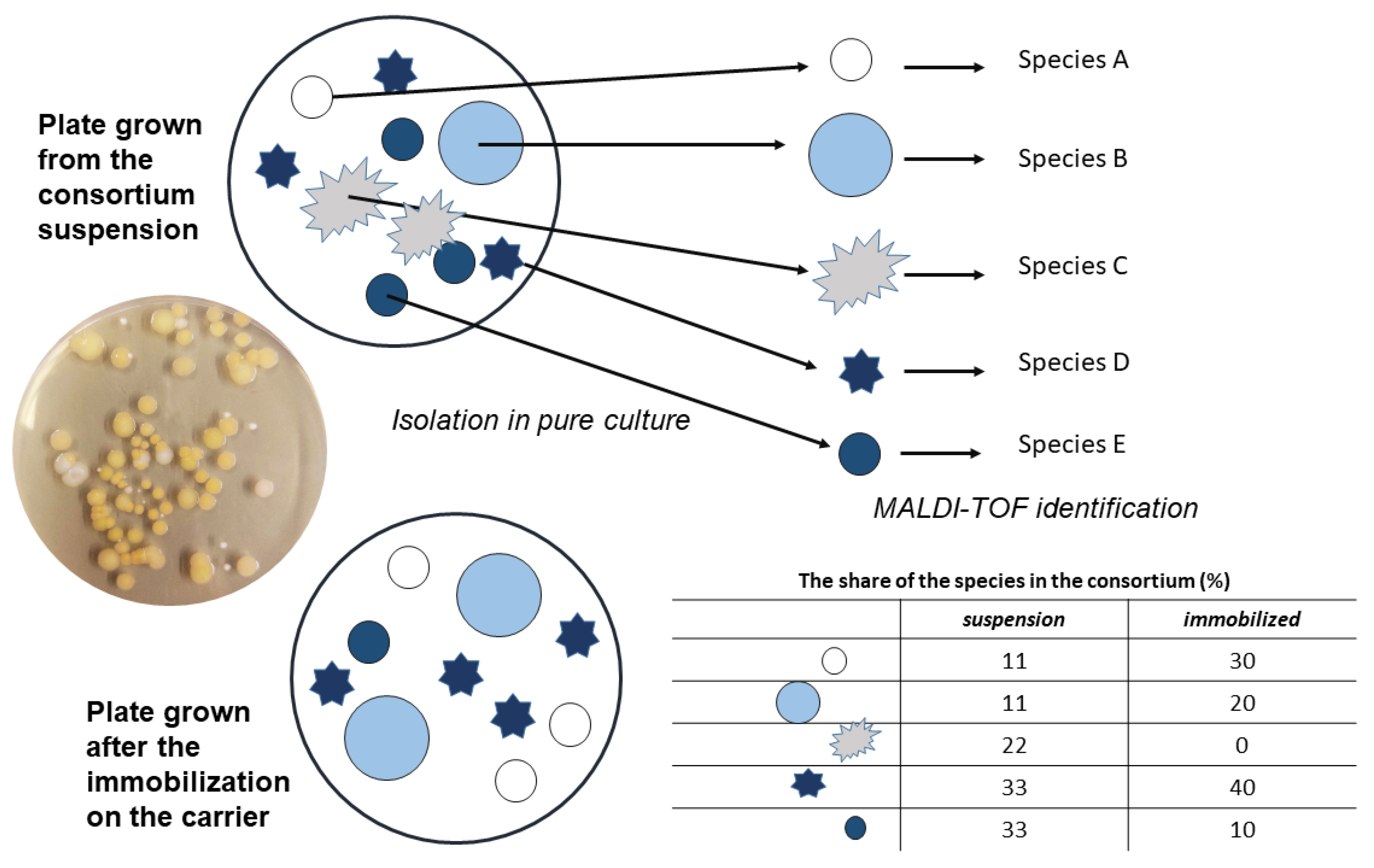 Applsci 14 06883 g001 Applsci 14 06883 g001