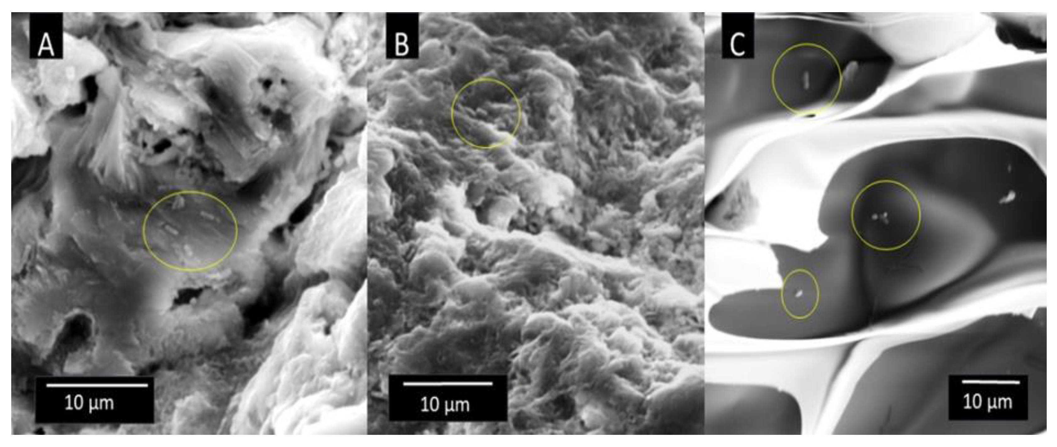 Applsci 14 06883 g003 Applsci 14 06883 g003