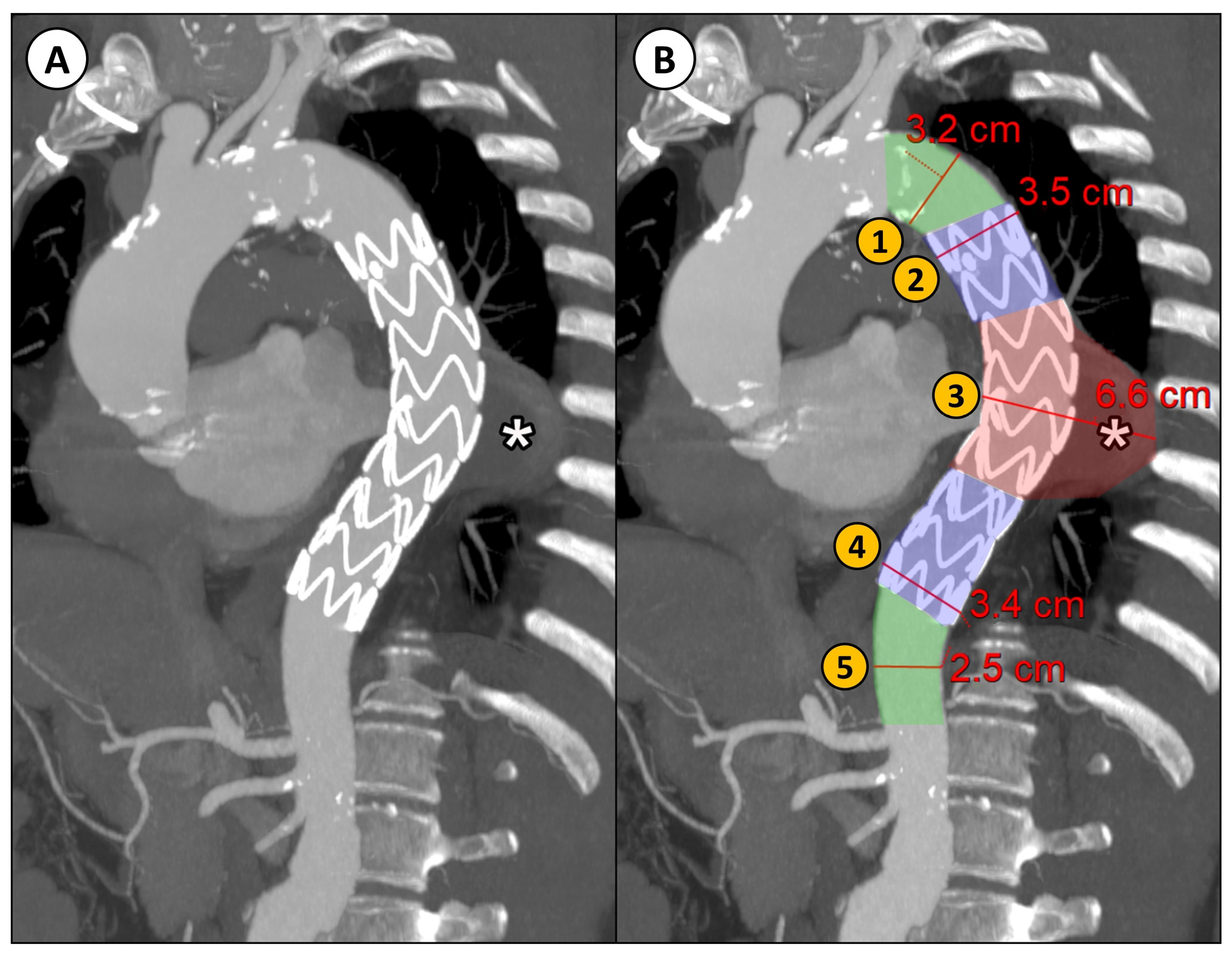 Applsci 14 06948 g001